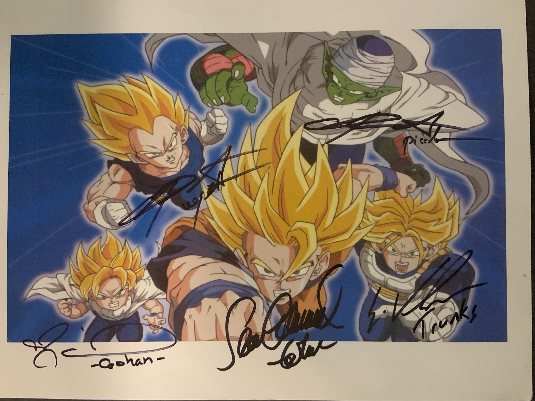 The Ultimate Dragon Ball Z/Kai Autograph Collection