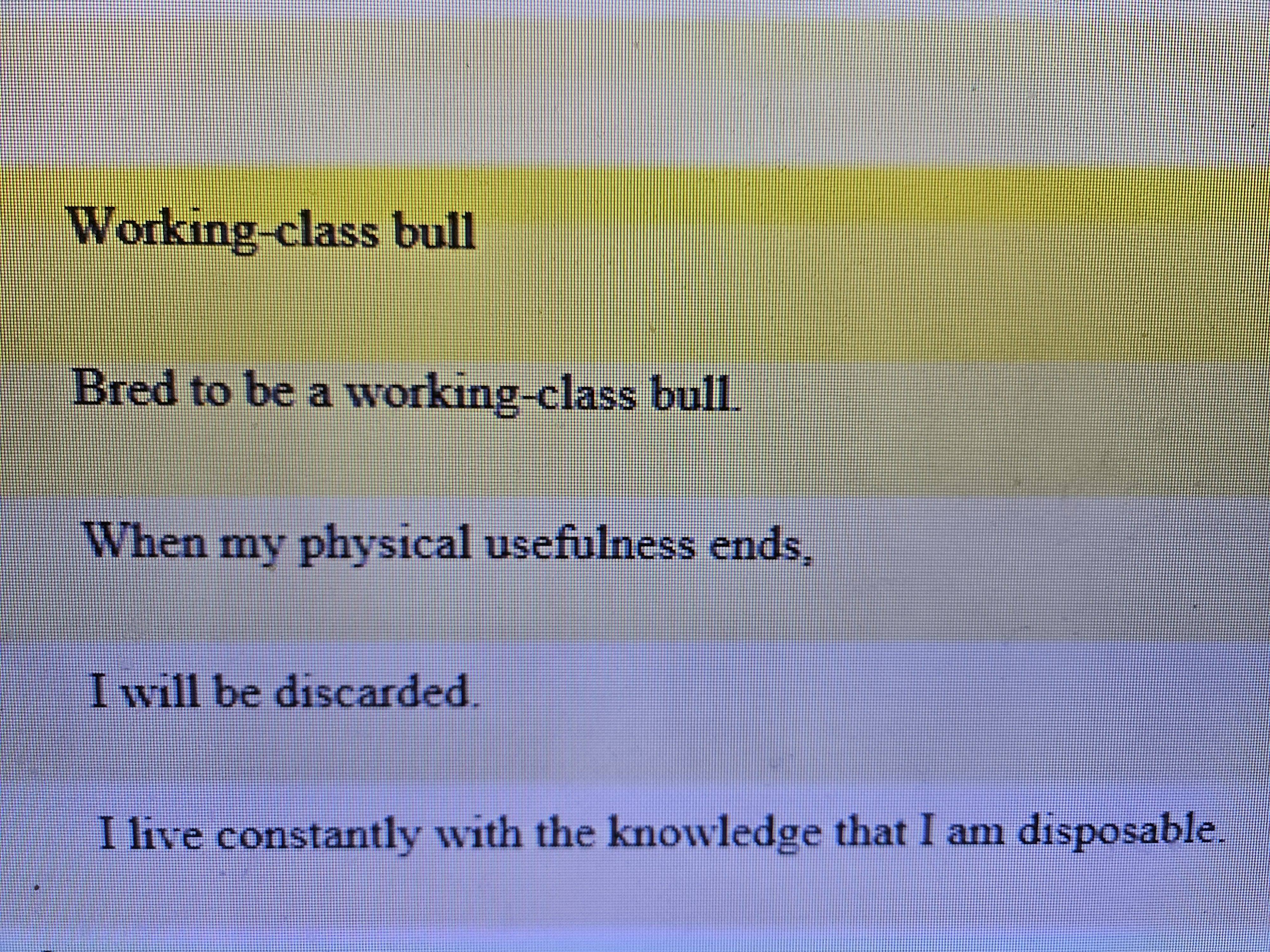 The Everyday Struggles of a Working-Class Bull