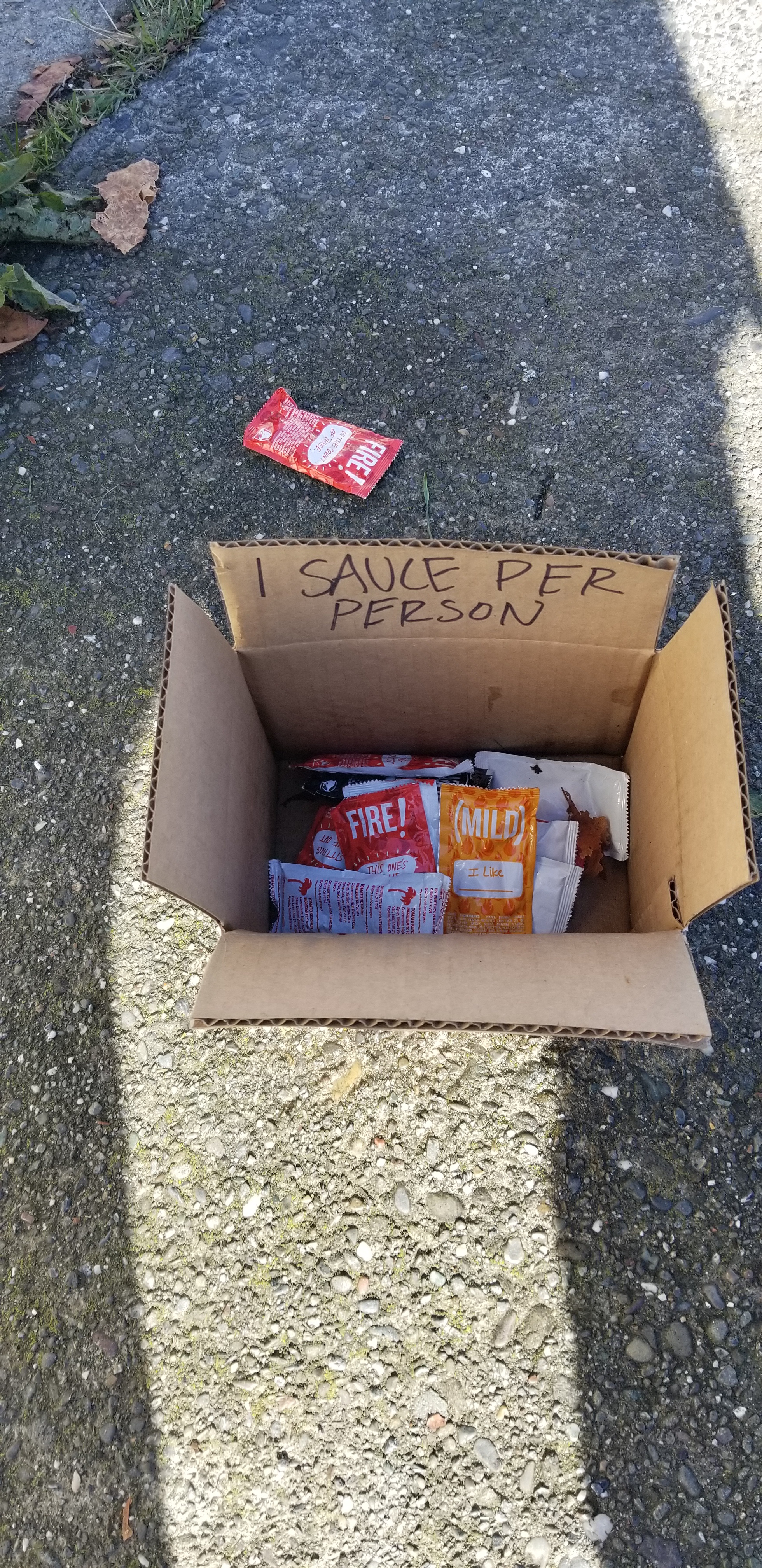 Nature's Surprises: What I Discovered on My Walk Today
