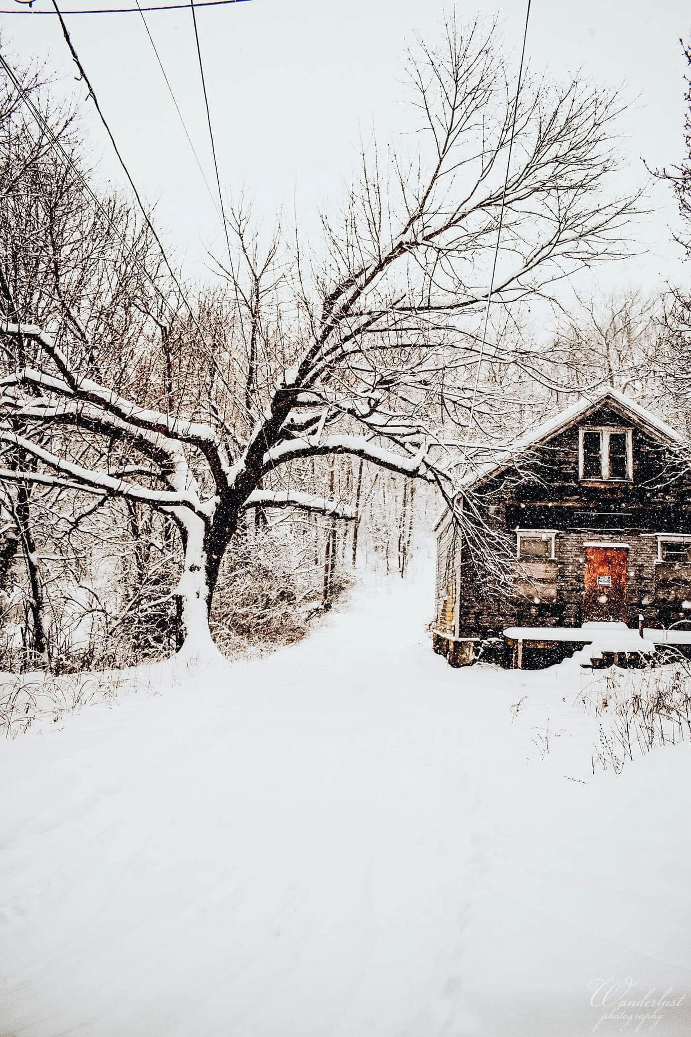 Winter Wonderland: Just Snow