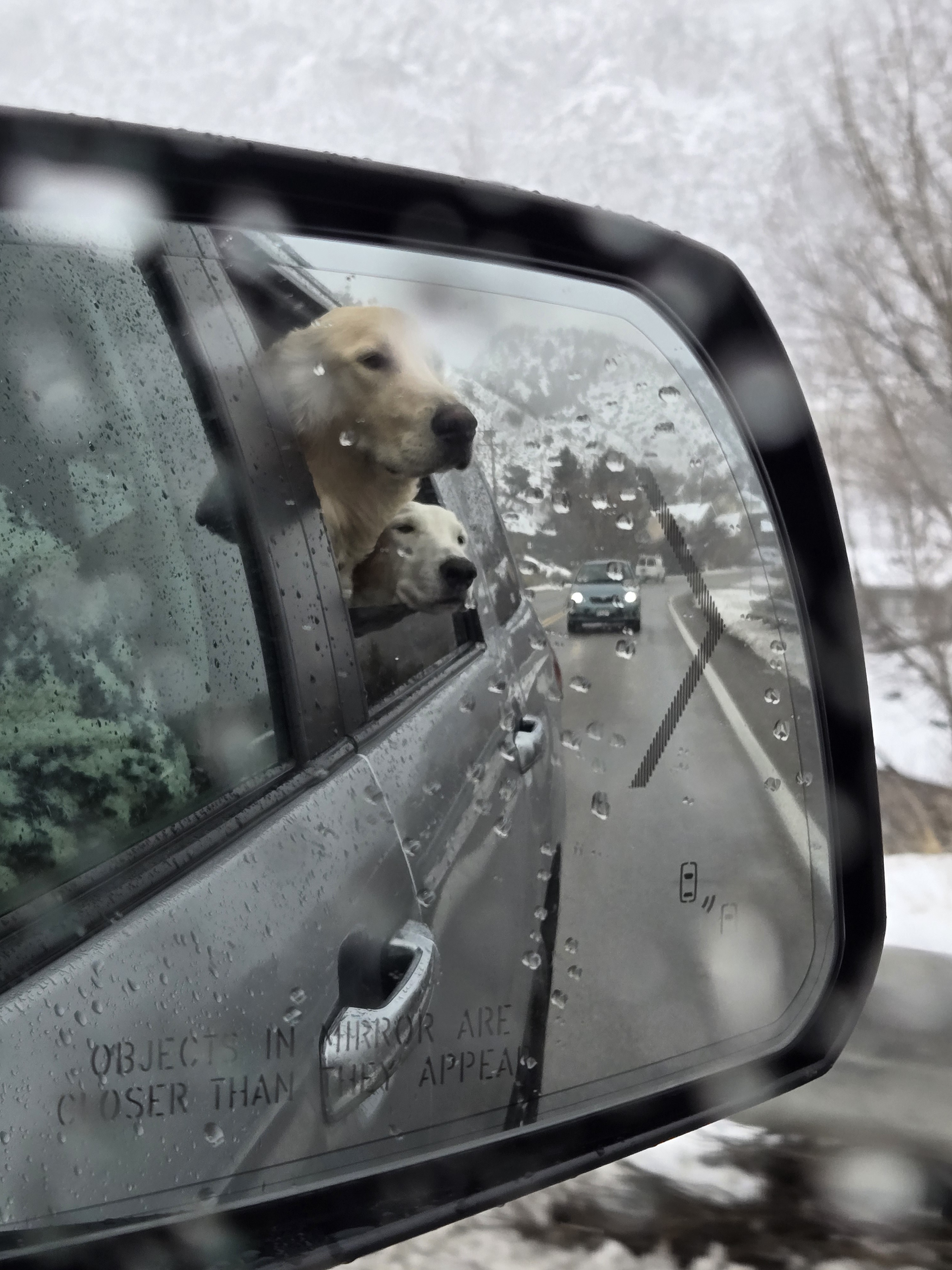 Epic Car Rides: Just Ask Floyd and Daisy About Their Adventures