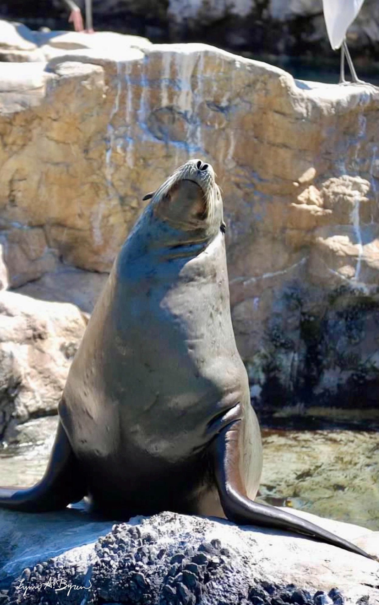 Soaking Up the Sun: A Perfect Day for Sunbathing