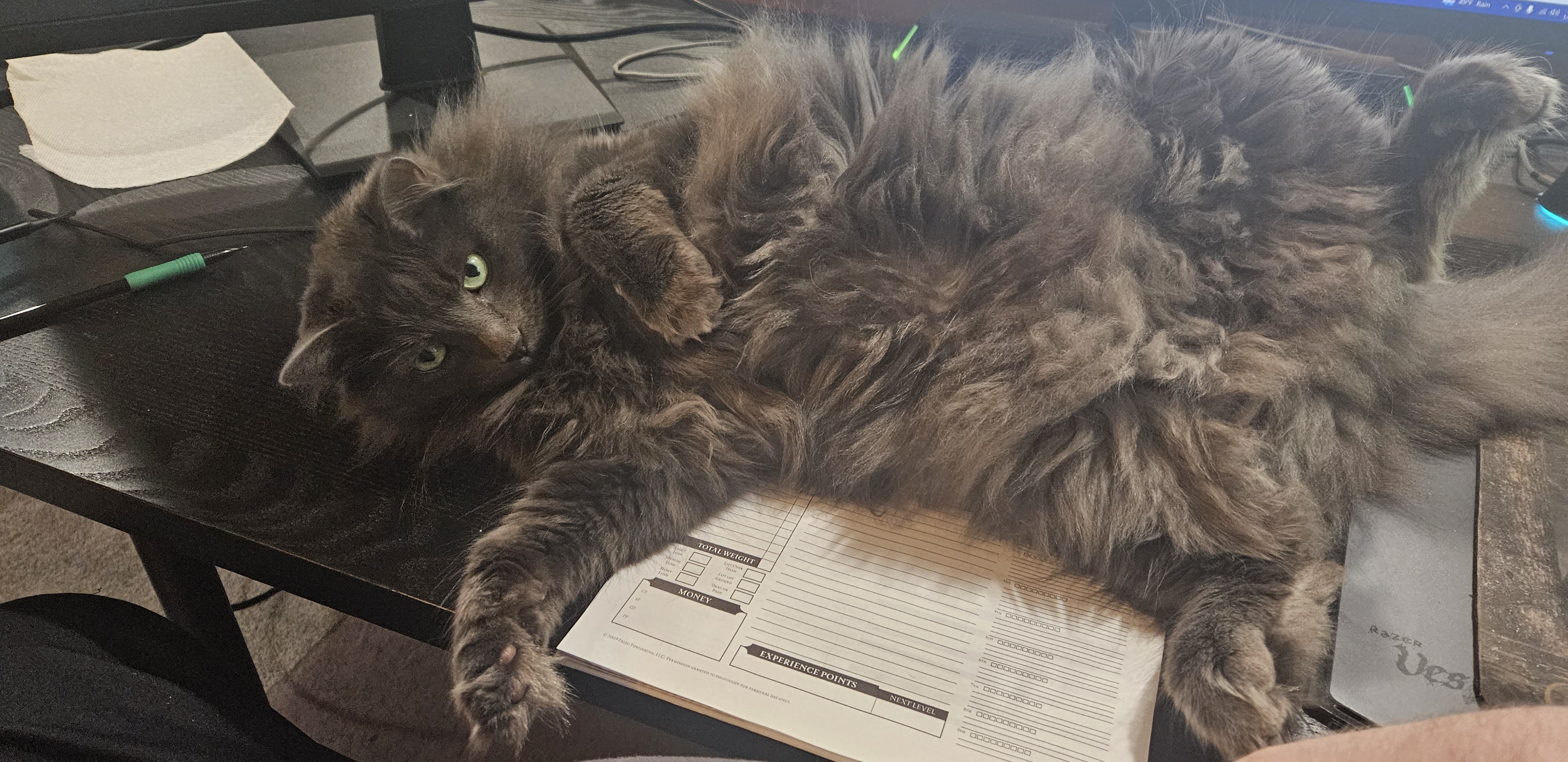 Yzma's Hilarious DnD Assistance