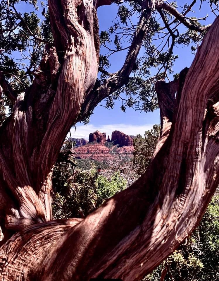 The Striking Beauty of Red Rocks