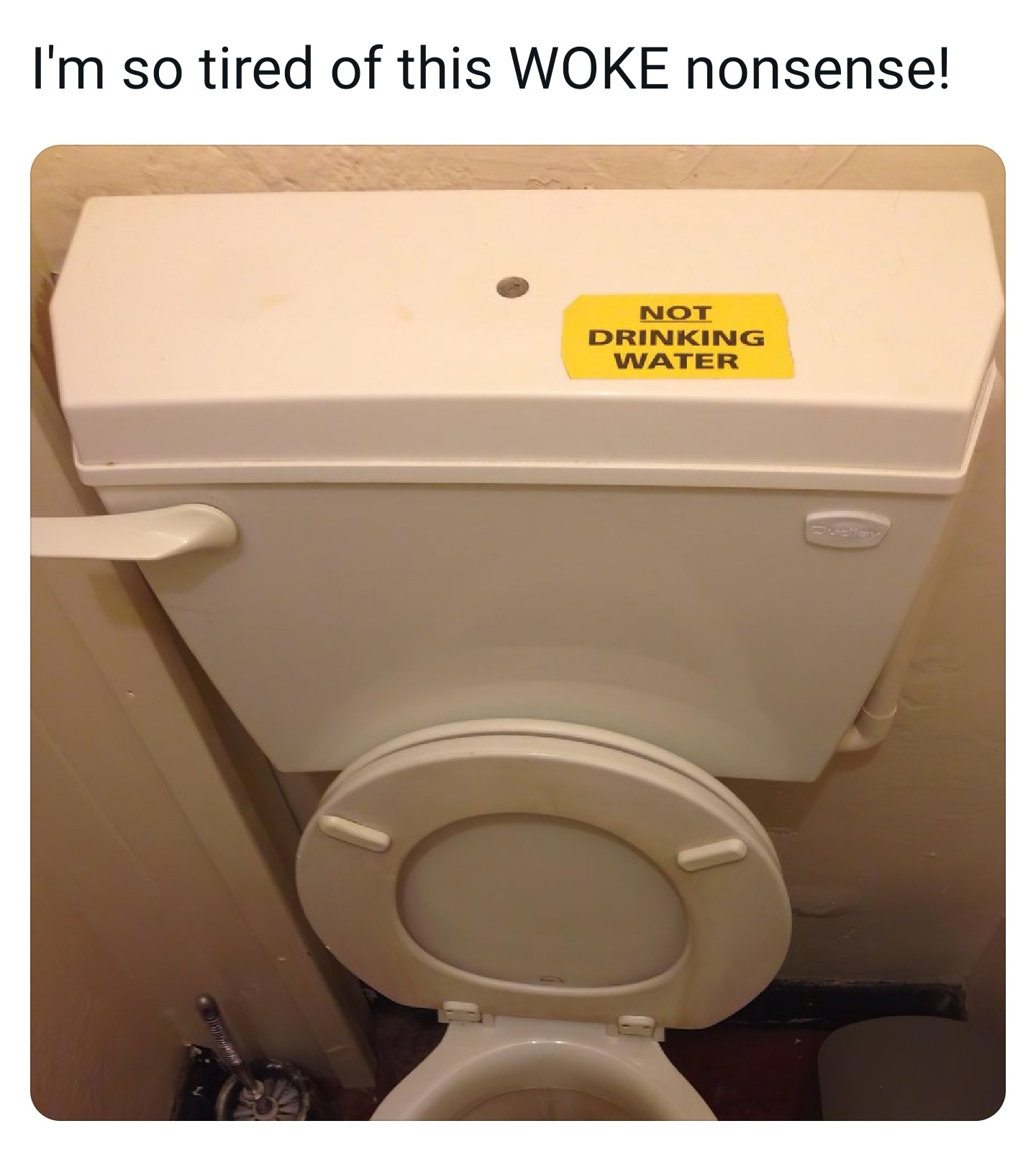 Fed Up with Woke Nonsense and Ready to Laugh!