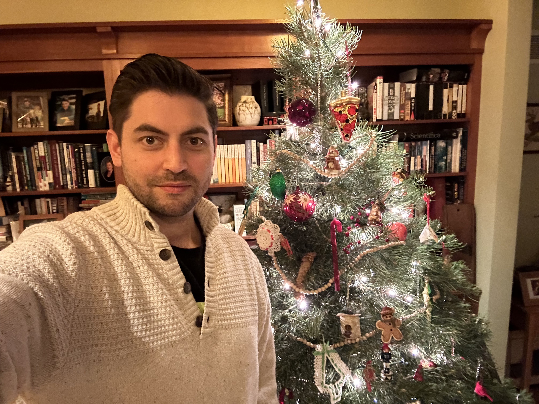 Wishing You a Joyful Christmas, Imgur Community!