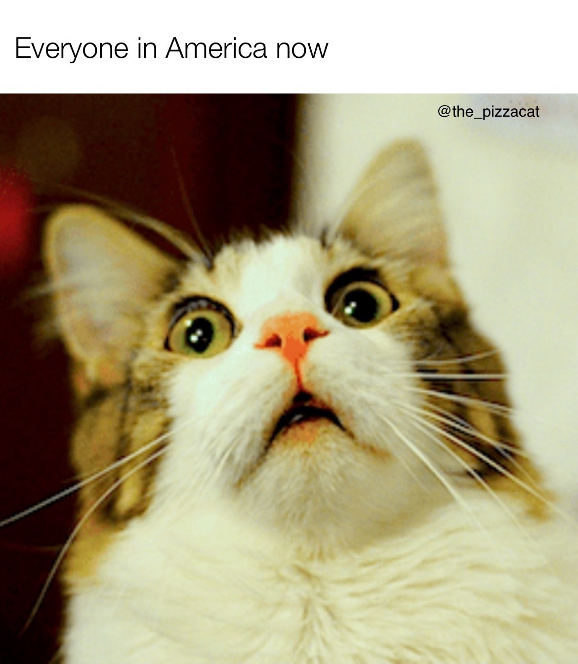 The Nail-Biting Anticipation