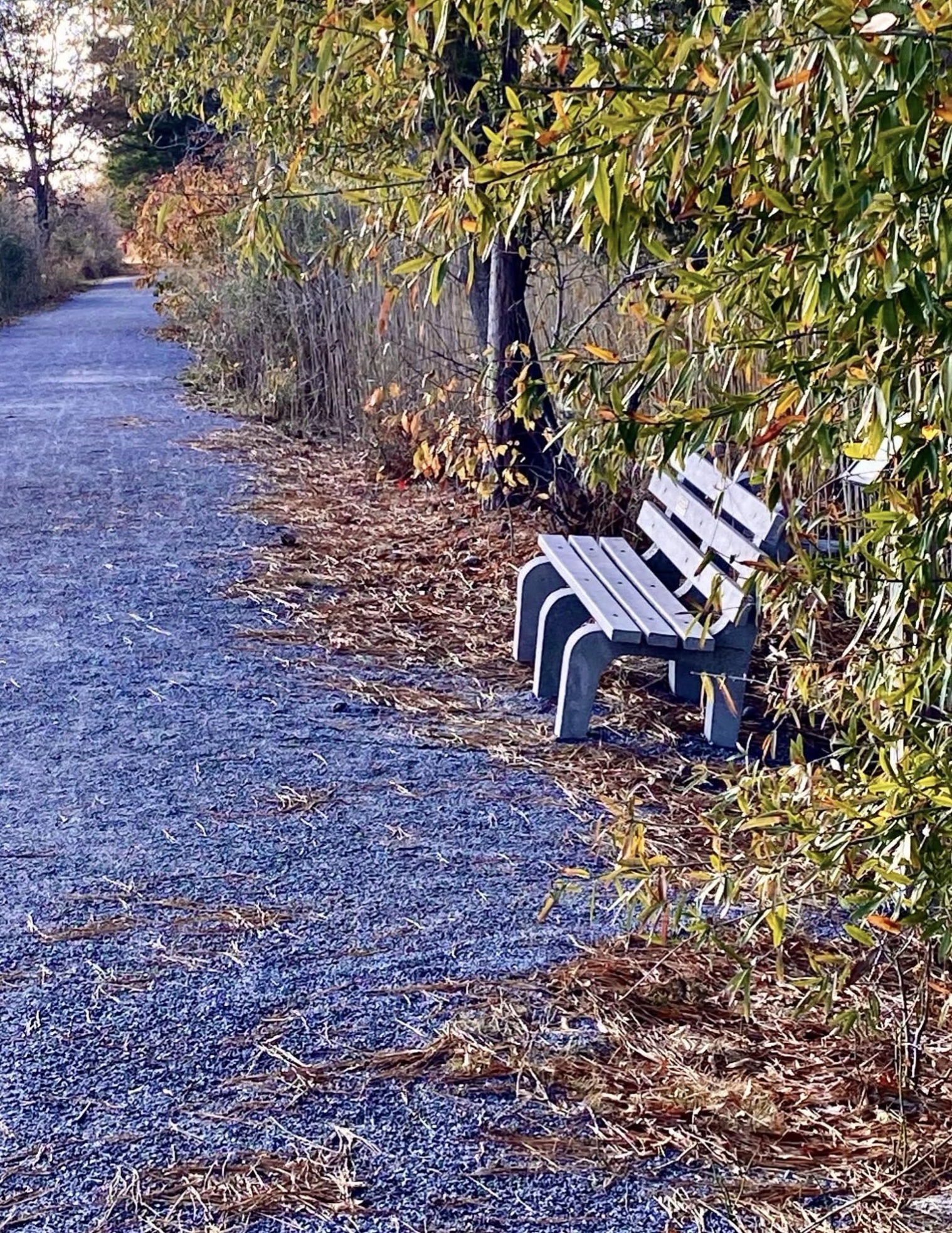 Quick Break at the Rest Stop