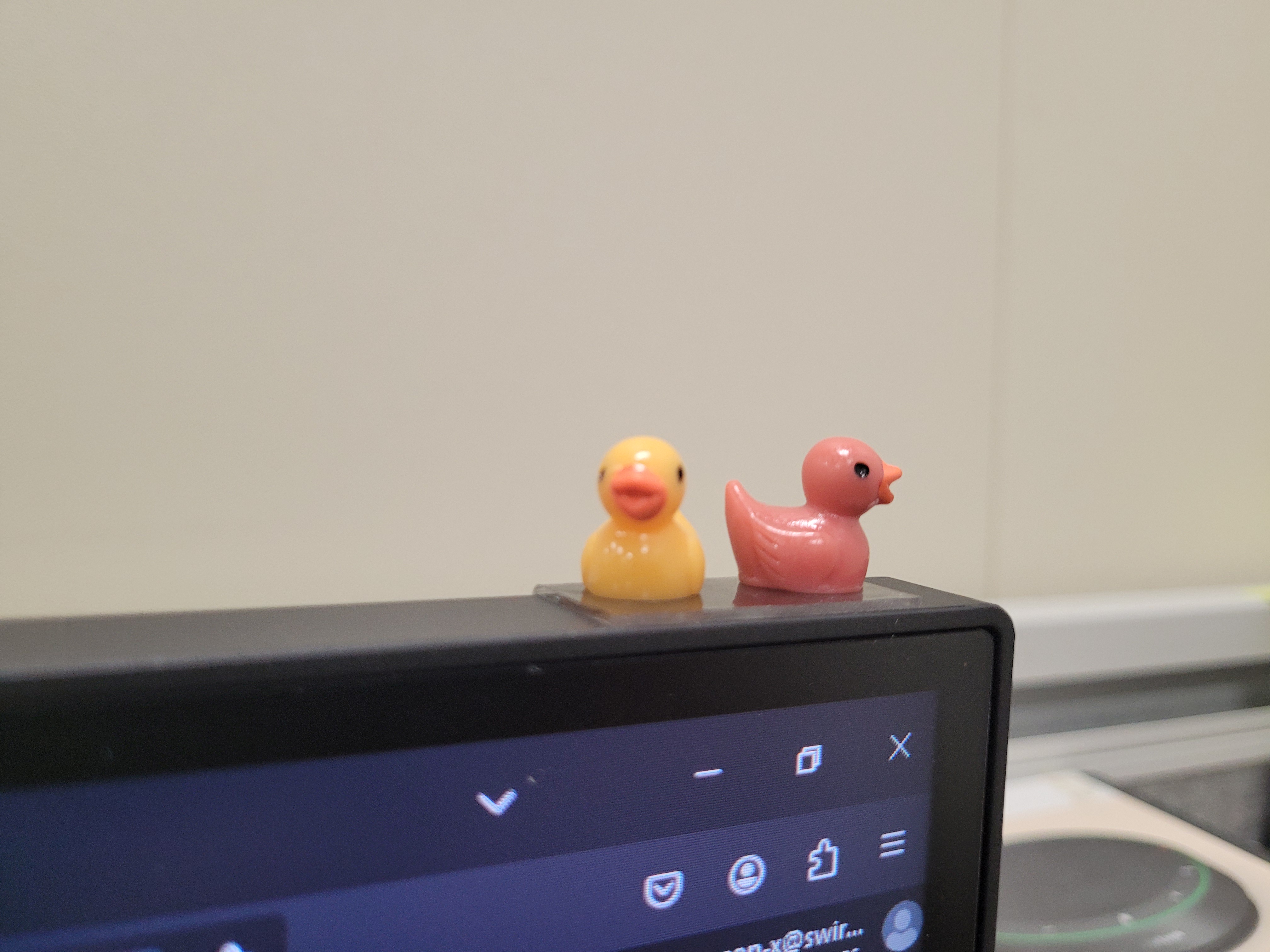 My Desk Has Been Taken Over by Quirky Duck Decor