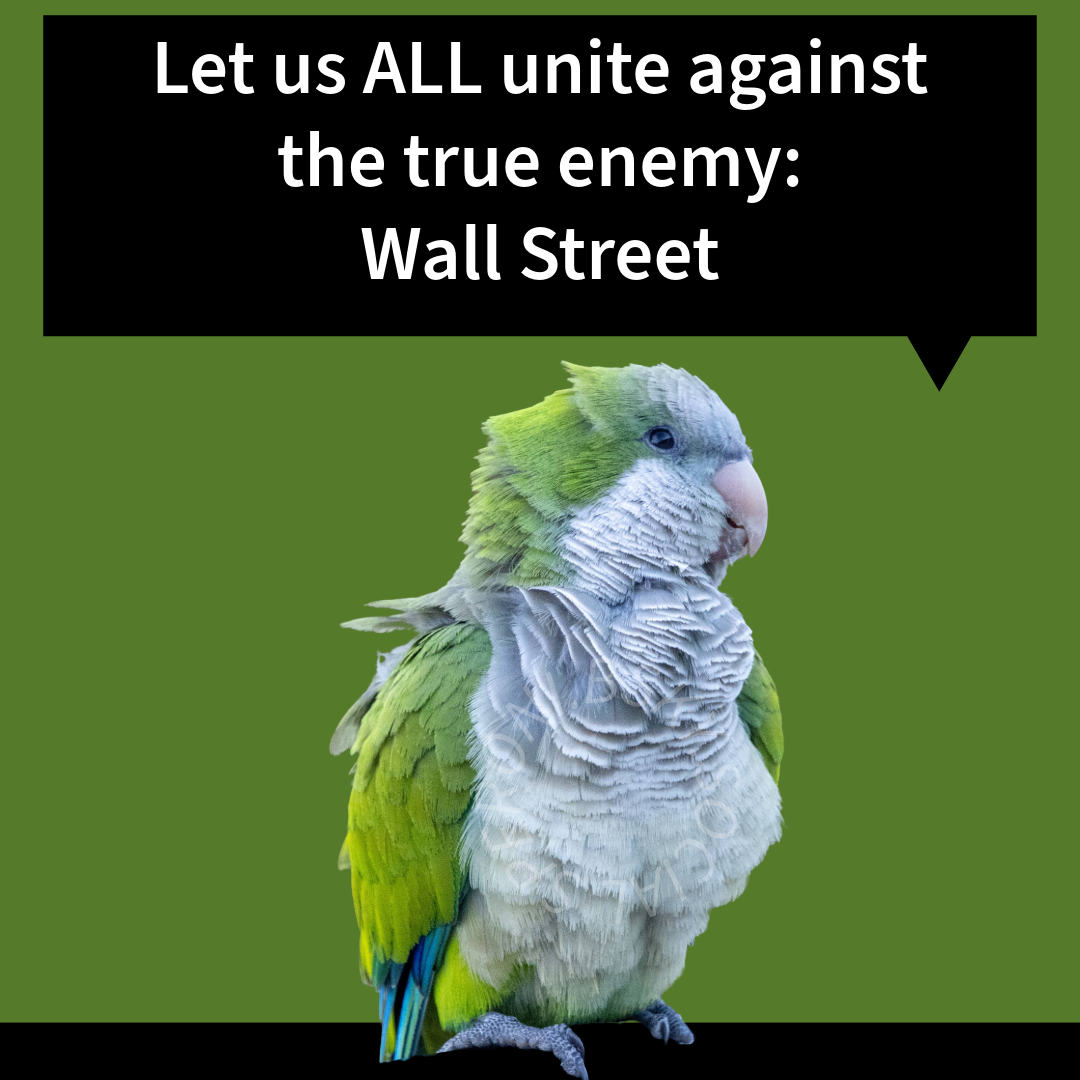 Let's Stand Together Against Our Real Adversary: Wall Street