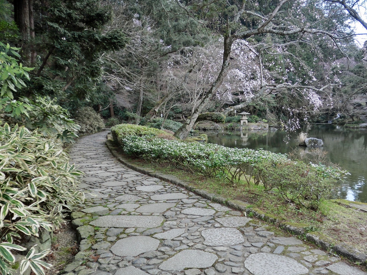 A Glimpse into March 2015: Narita, Chiba Prefecture