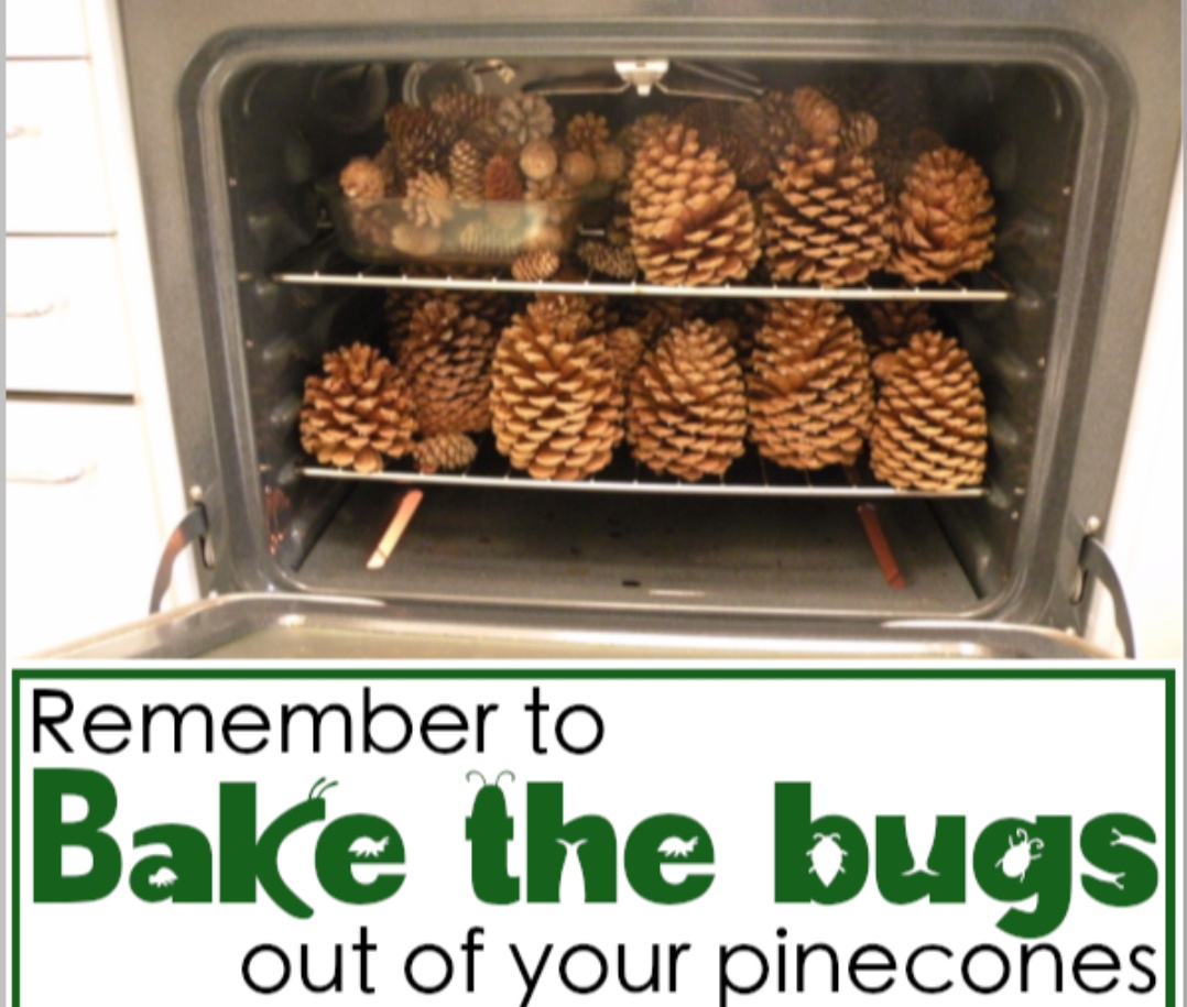Public Service Announcement: Important Reminder