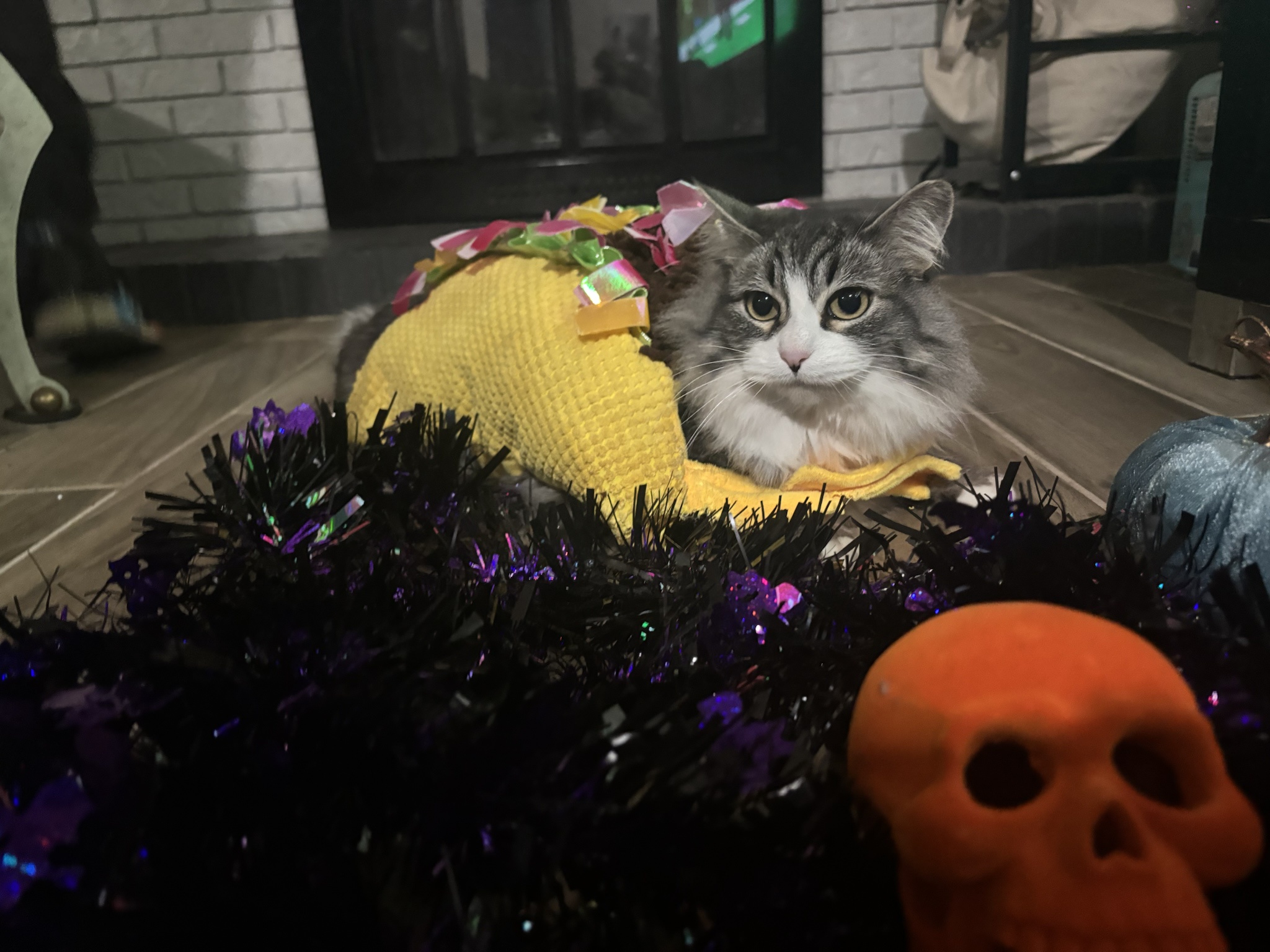Happy Halloween from My Adorable Little Monsters!