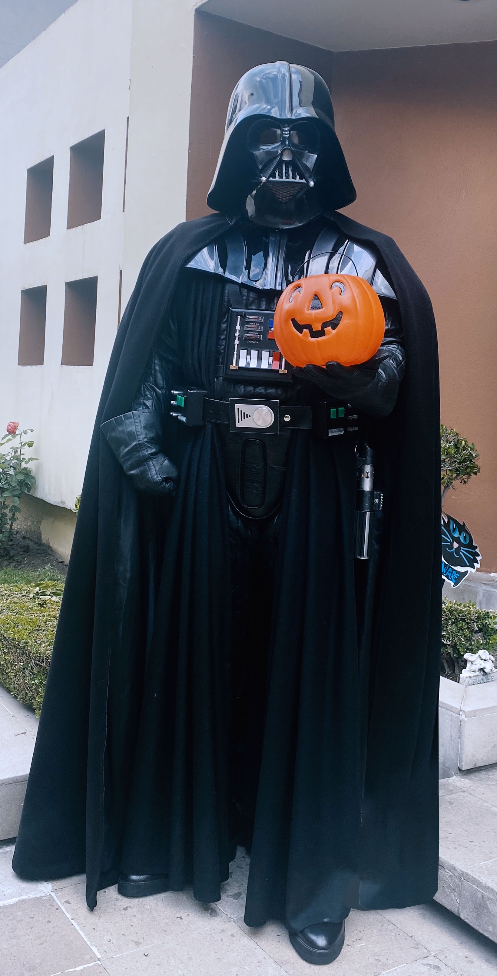 This Halloween, I transformed into a Home Depot ornament!