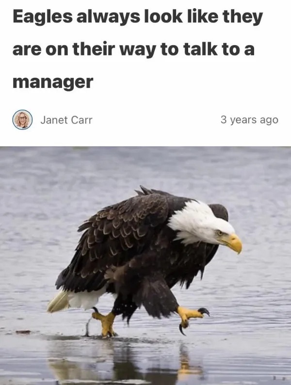 Because they’re having a deep conversation with their lunch...