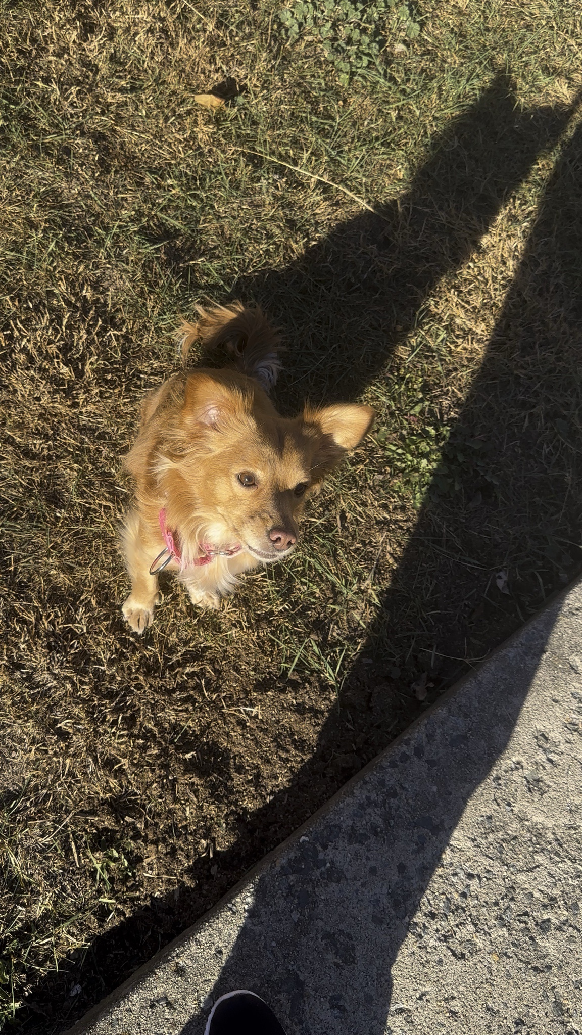 Zoom-In Moments After Our Walk