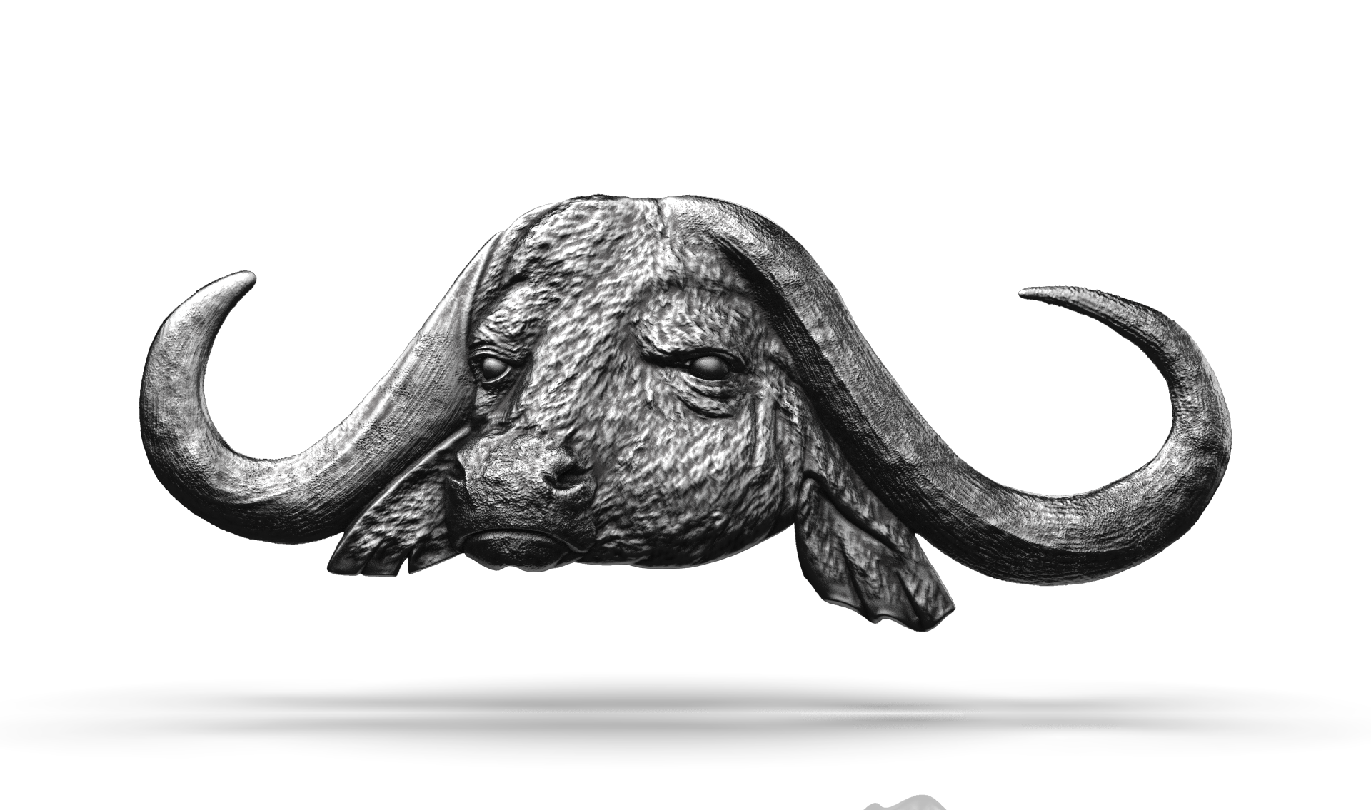 3D sculptures featuring the most majestic animal heads.