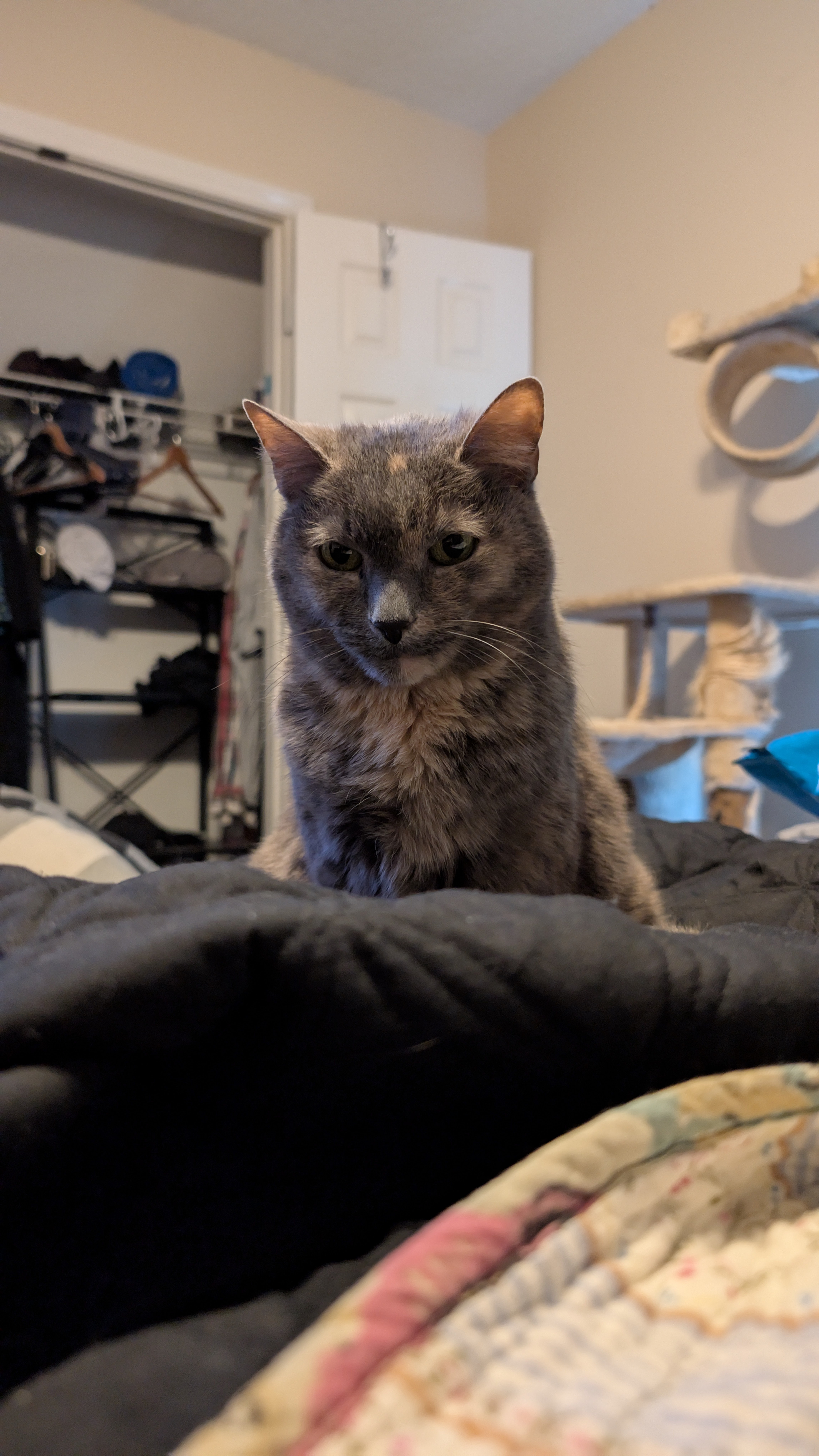 Betsy Channeling Intense Energy