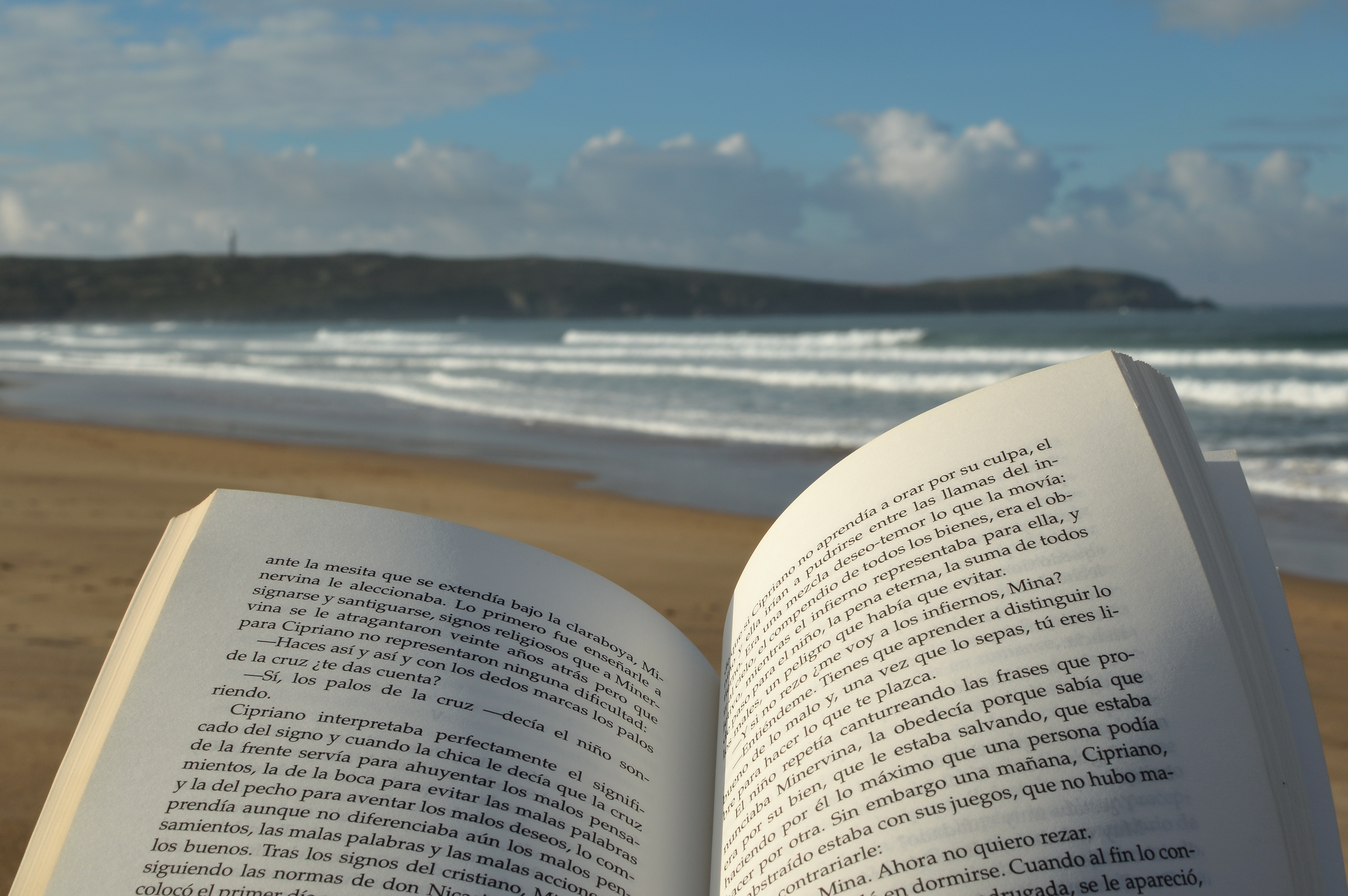 Enjoying a Good Book on the Beach