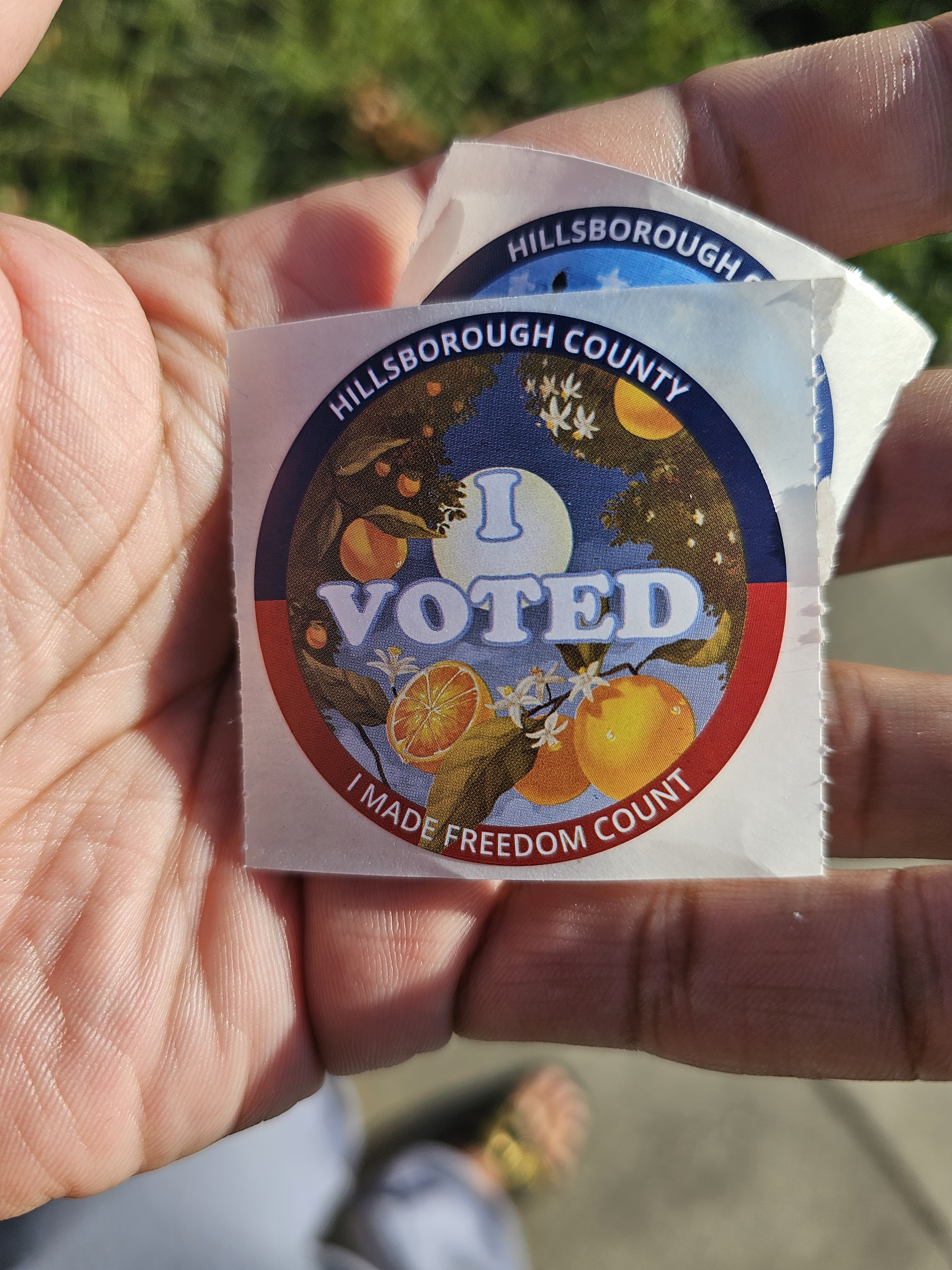 Voting for Change: Support for Cannabis and Reproductive Rights