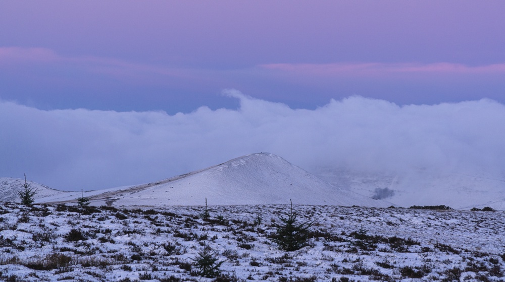 The Beauty of Dawn's First Light