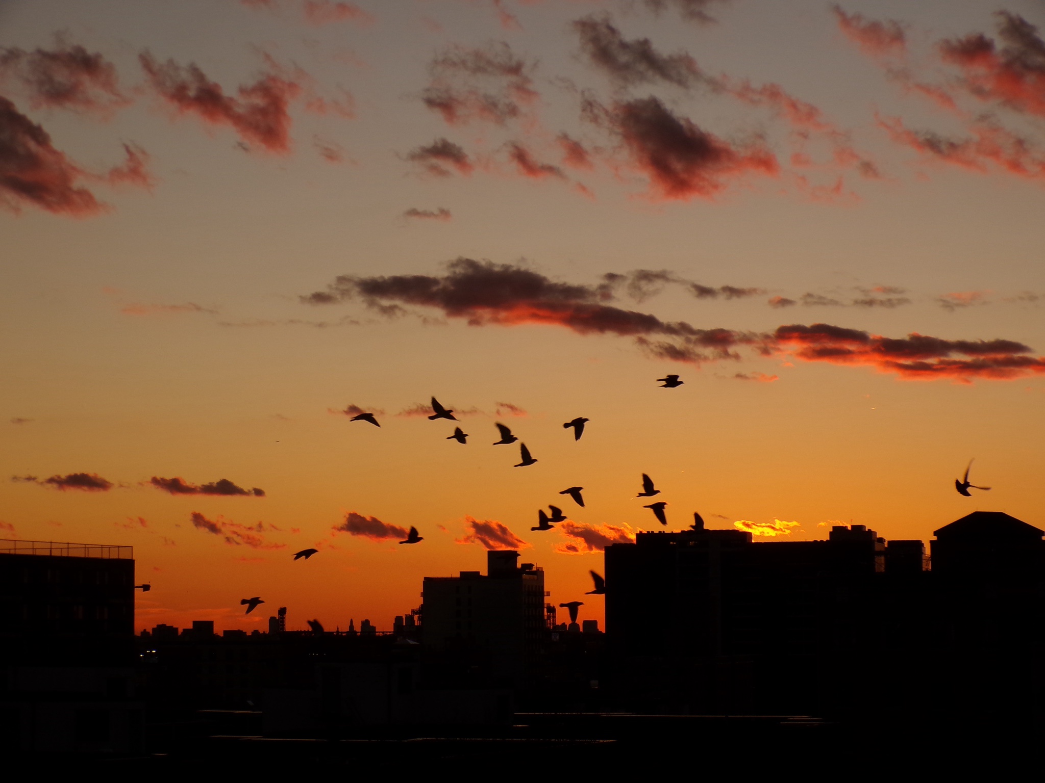 Soaring High: Take Flight!
