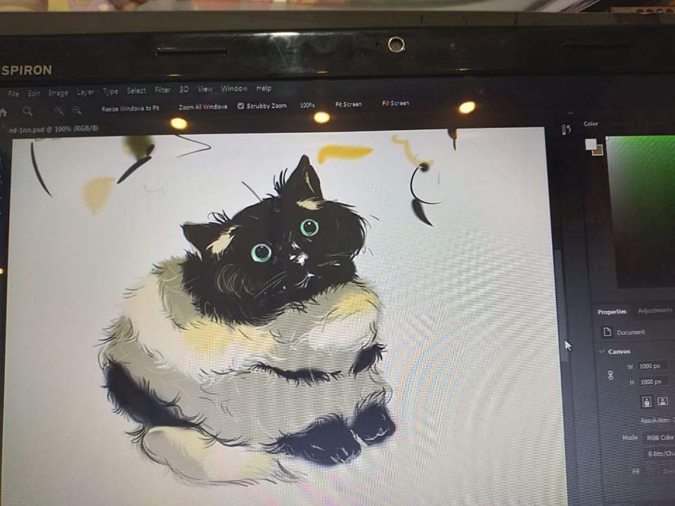 My Niece's First Masterpiece in Photoshop