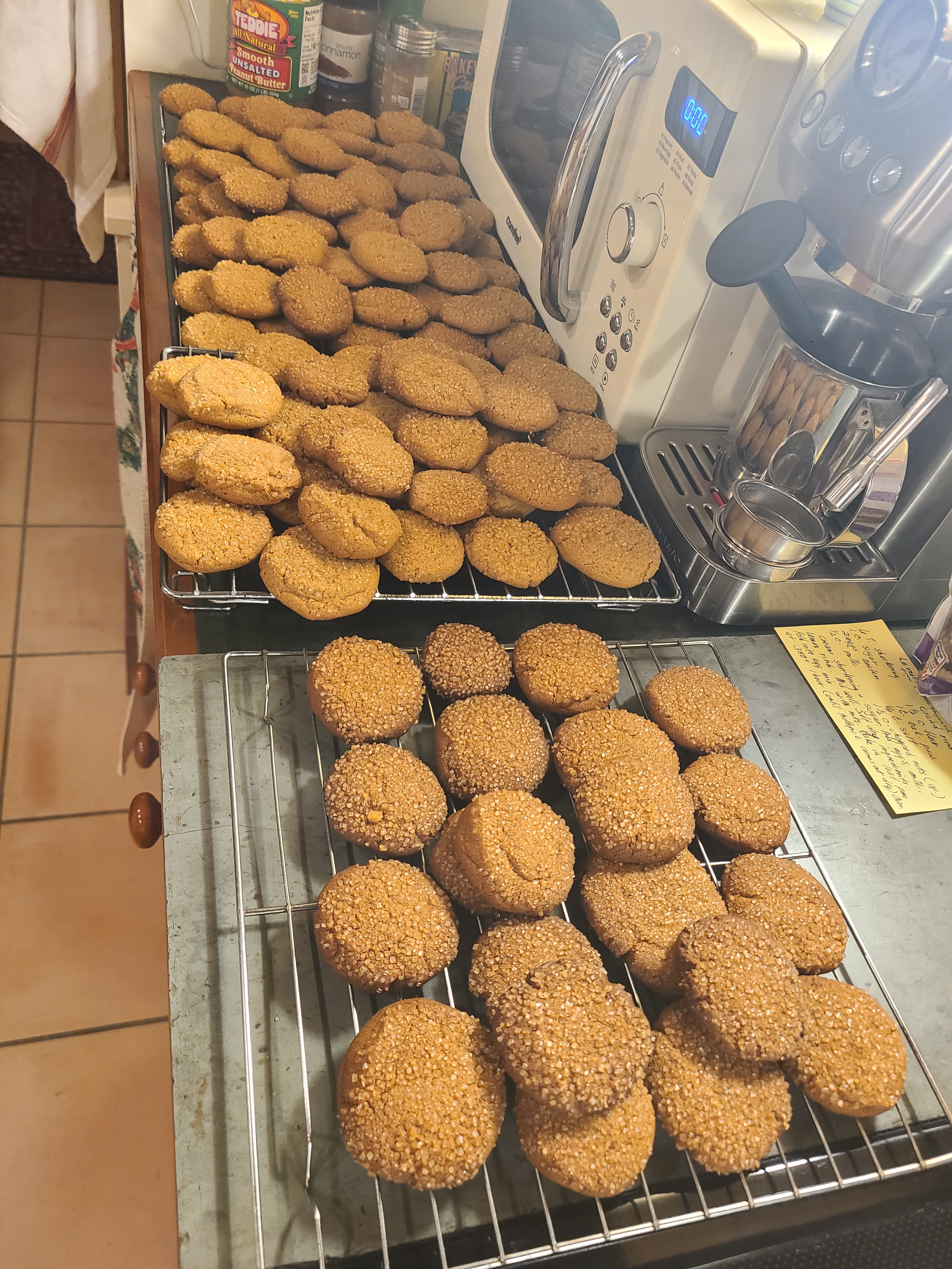 Delicious Cardamom and Molasses Cookies Perfect for the Holiday Season