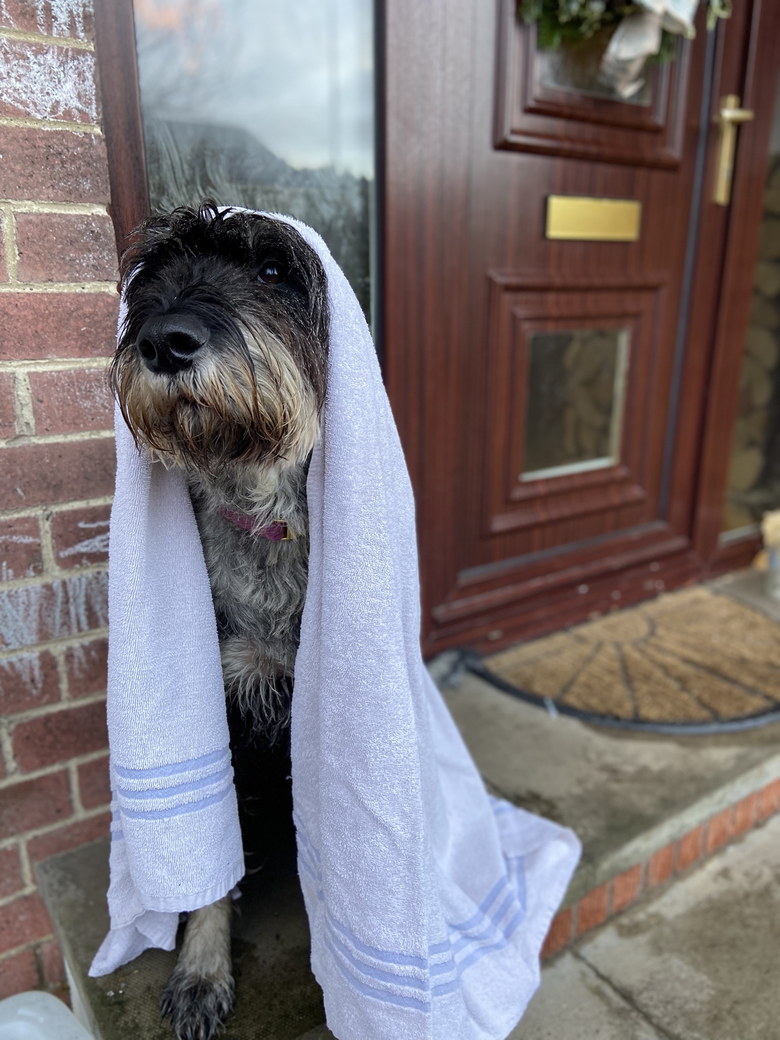 Help Me, Obi-Wan Kenobi: You're My Only Hope