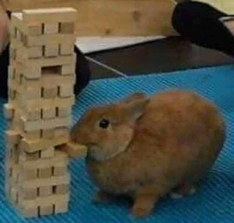 Bunny's Reluctant Refusal