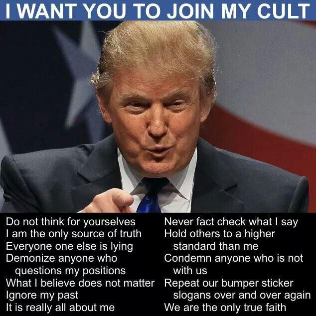 This Definitely Feels Like a Cult
