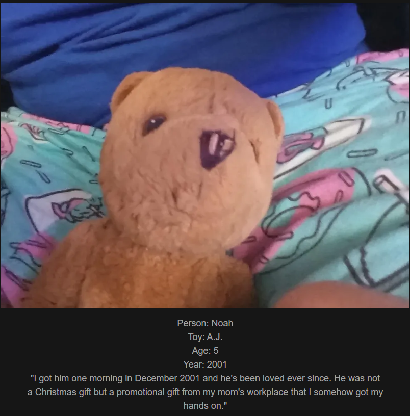 Day 811: Join Me on My Journey at www.saidtheskinhorse.com - Celebrating Our Cherished Childhood Toys with A.J., Our Newest Friend!