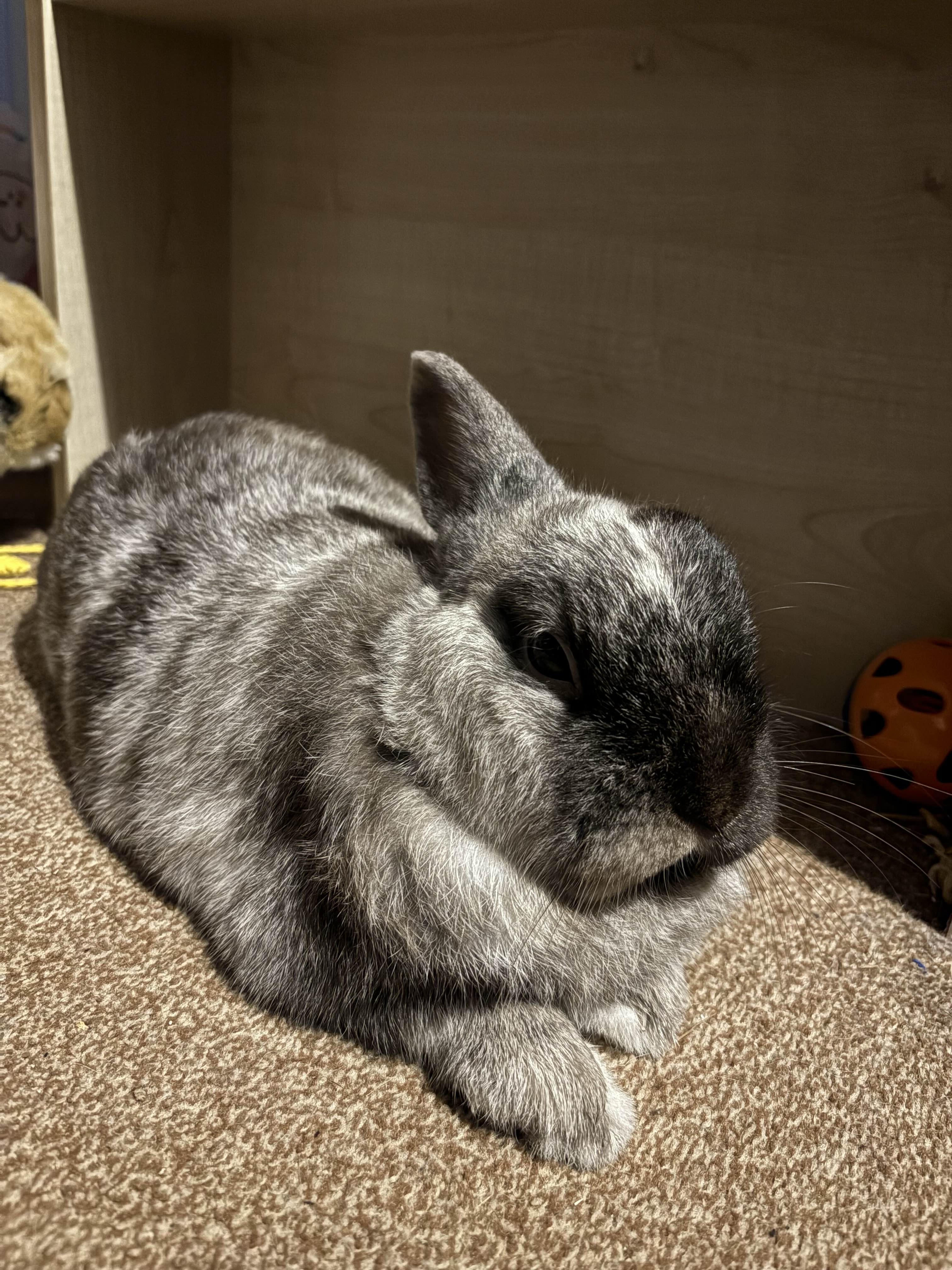 Just Relaxing and Enjoying the Moment