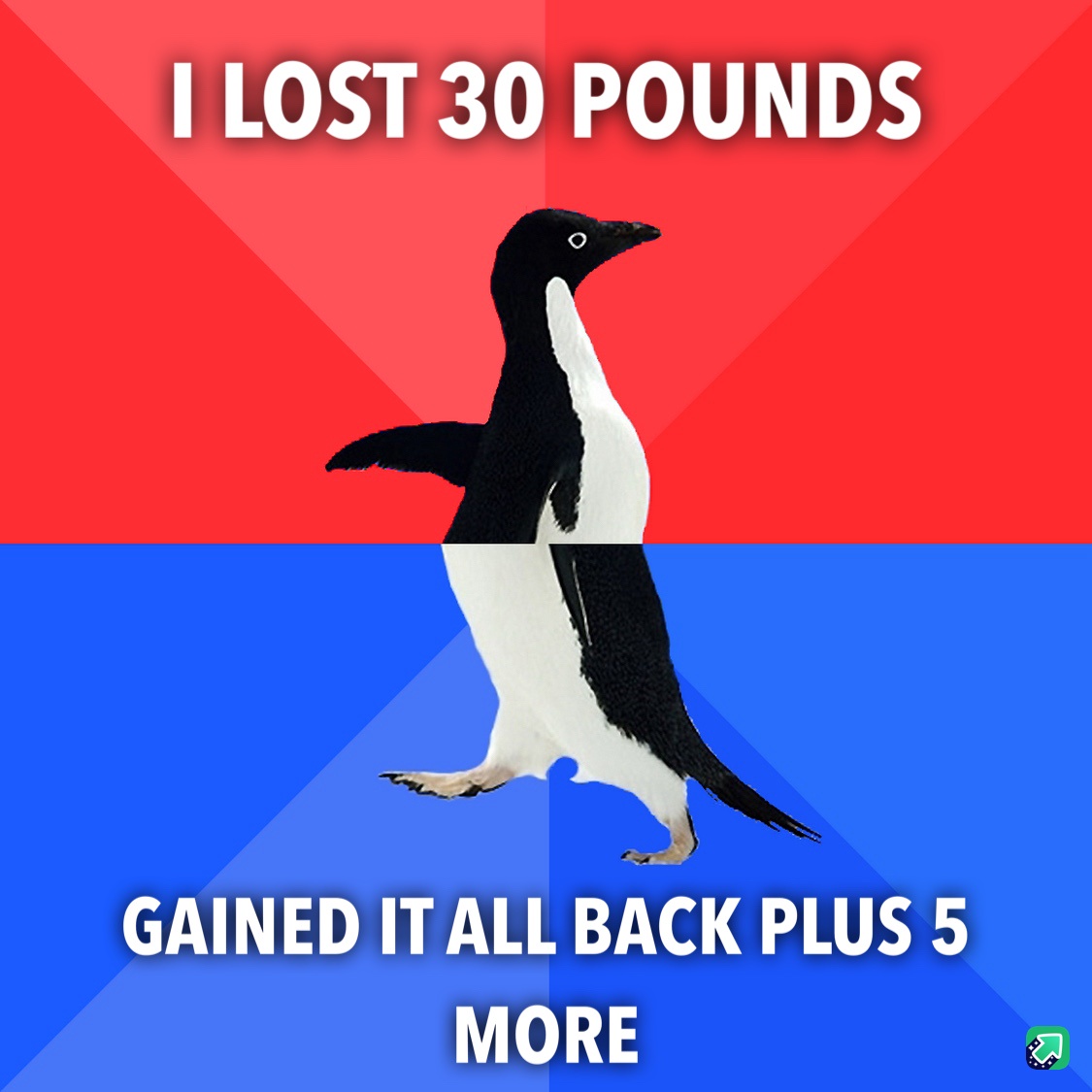 Back to the Gym: The Struggle of Gaining Weight Again