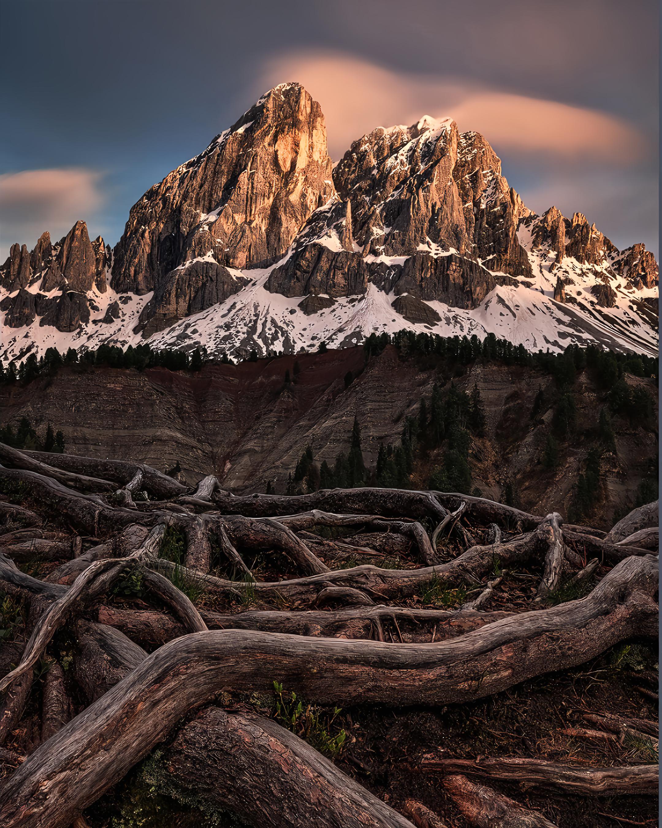 Stunning Views of Golden Peaks and Rugged Roots in Nature's Embrace