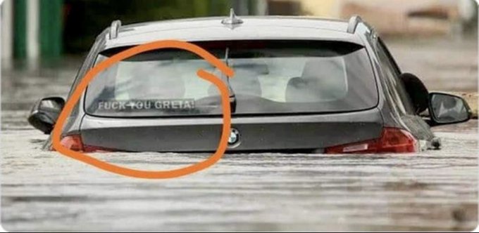 The Amphibious BMW: A Car That Can Swim!
