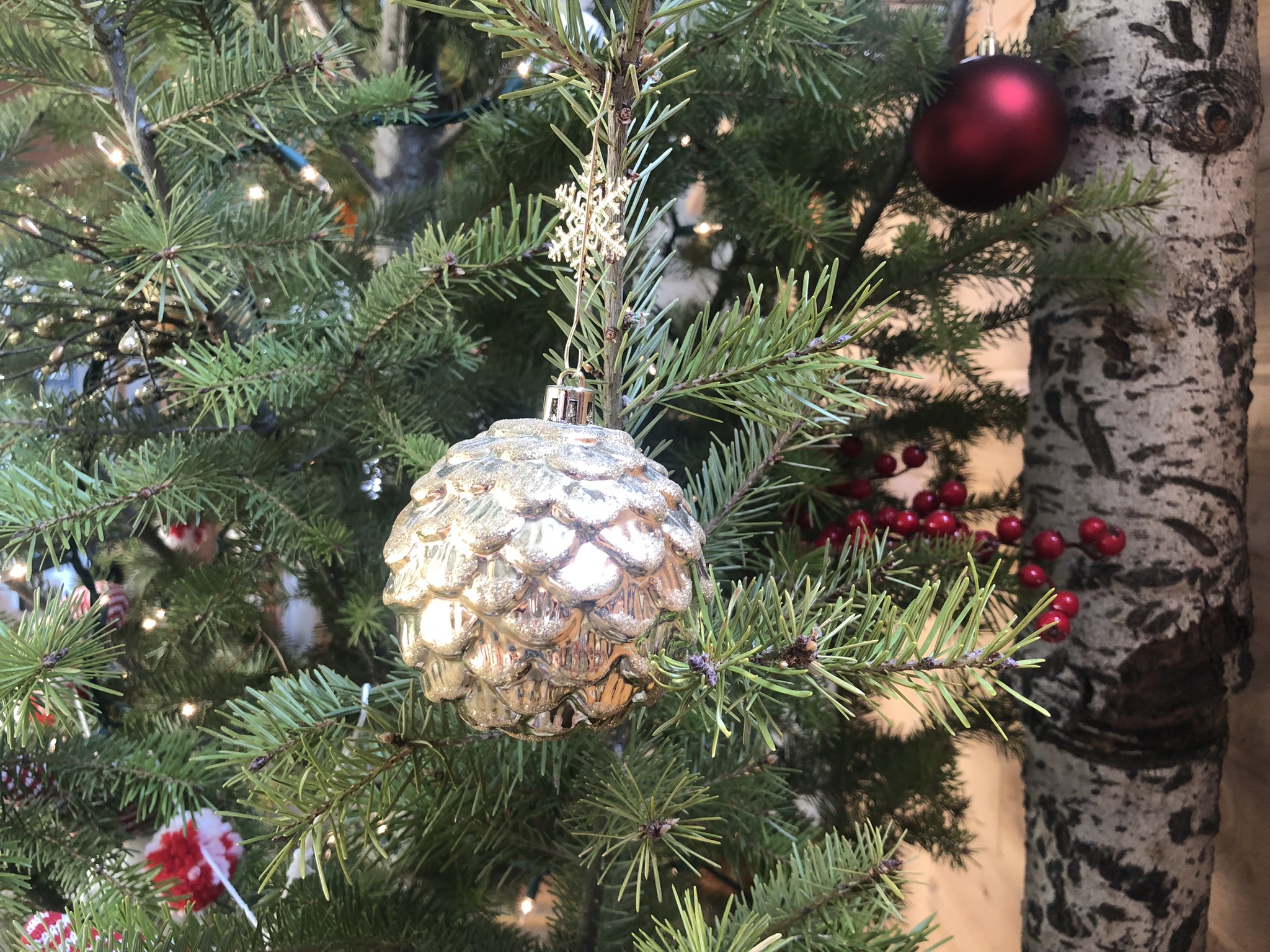Here's to all the amazing pinecones out there!
