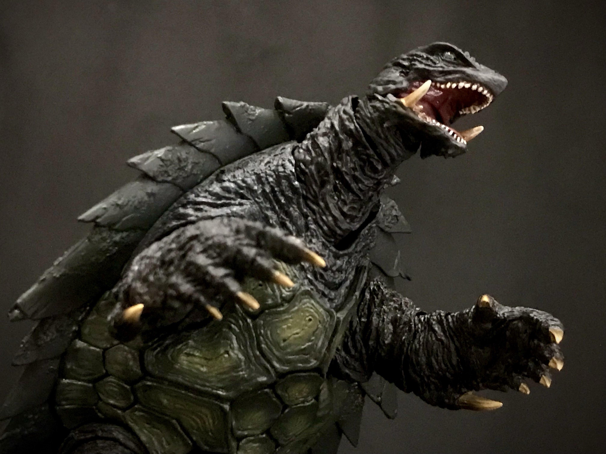 Unleashing the Power of Turtles!
