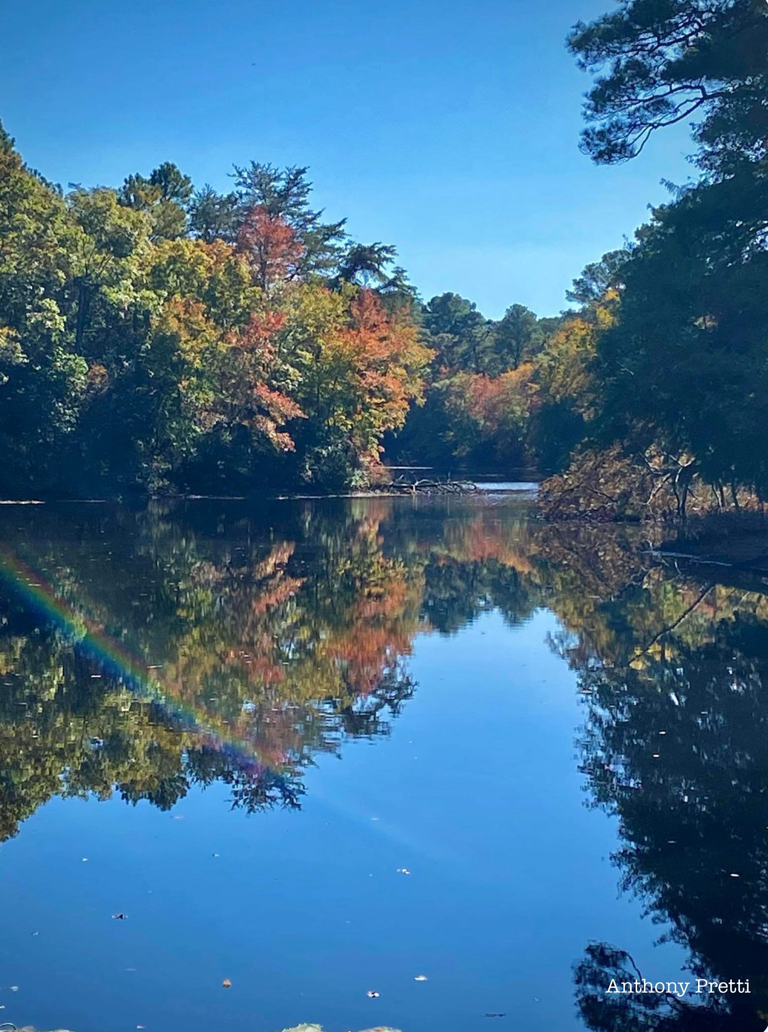Stunning Rainbow Reflection Captured in Nature