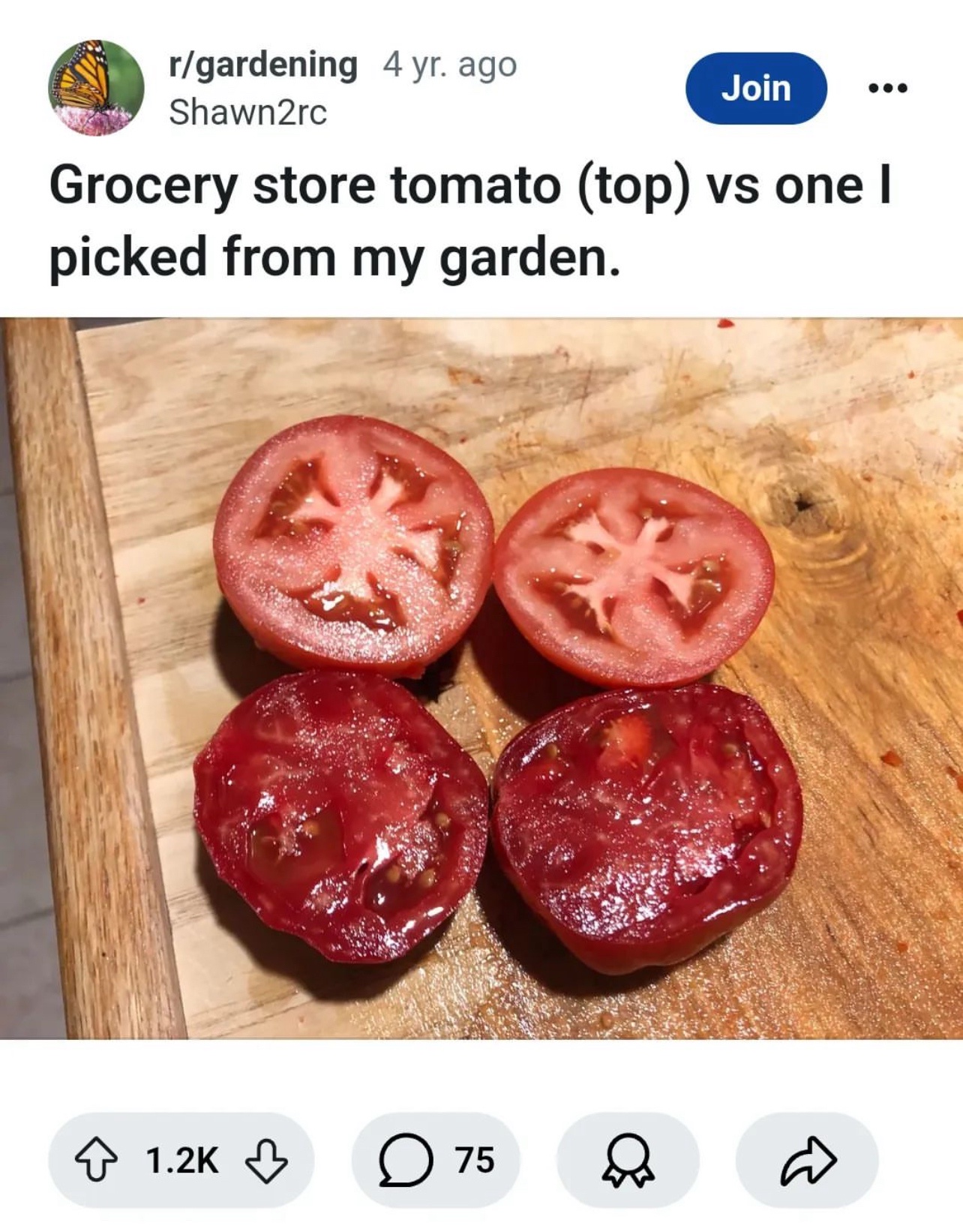 Deliciousness Overload: Yum!