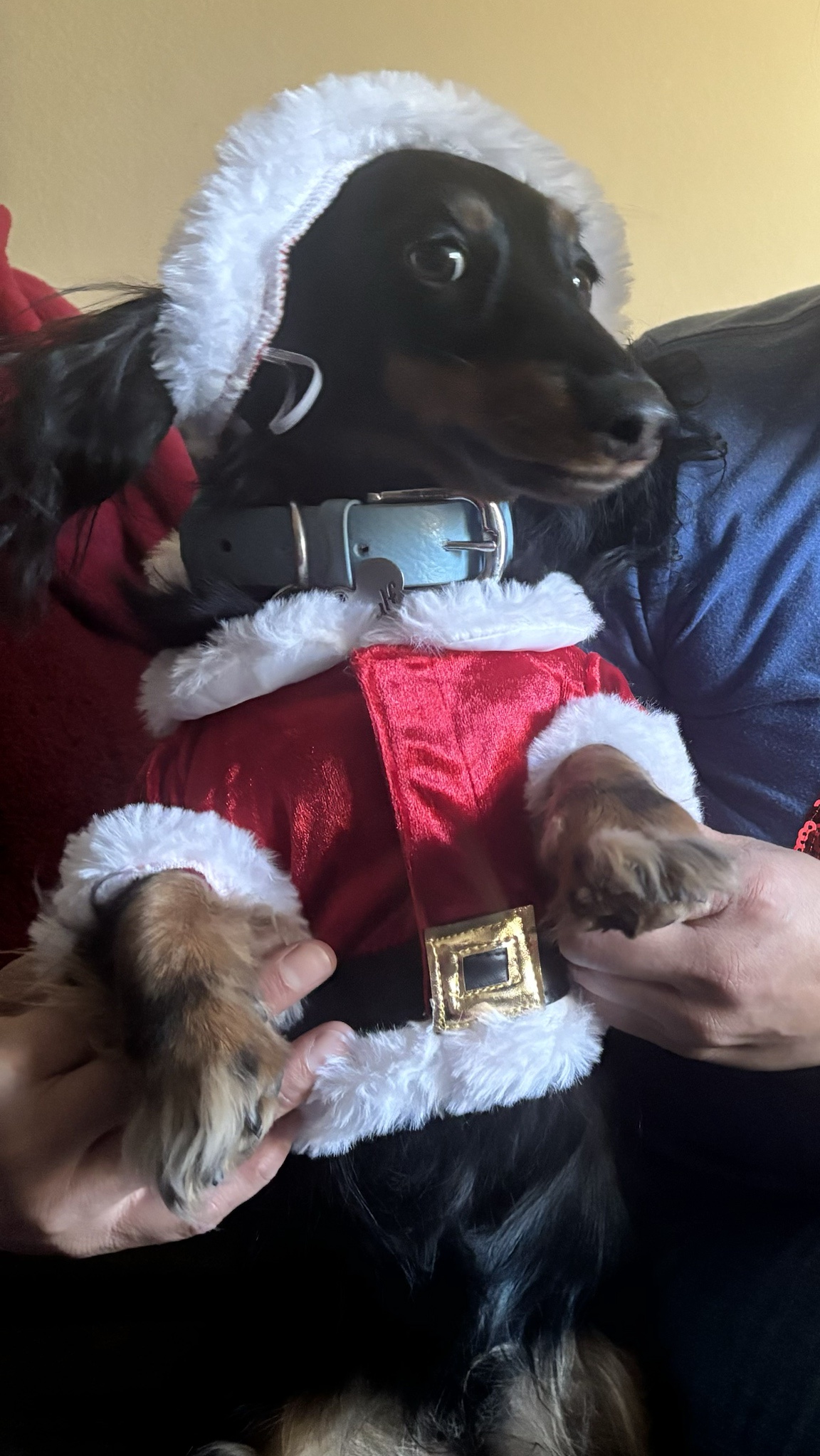 Beowulf in a Christmas Costume: Something Completely Different!