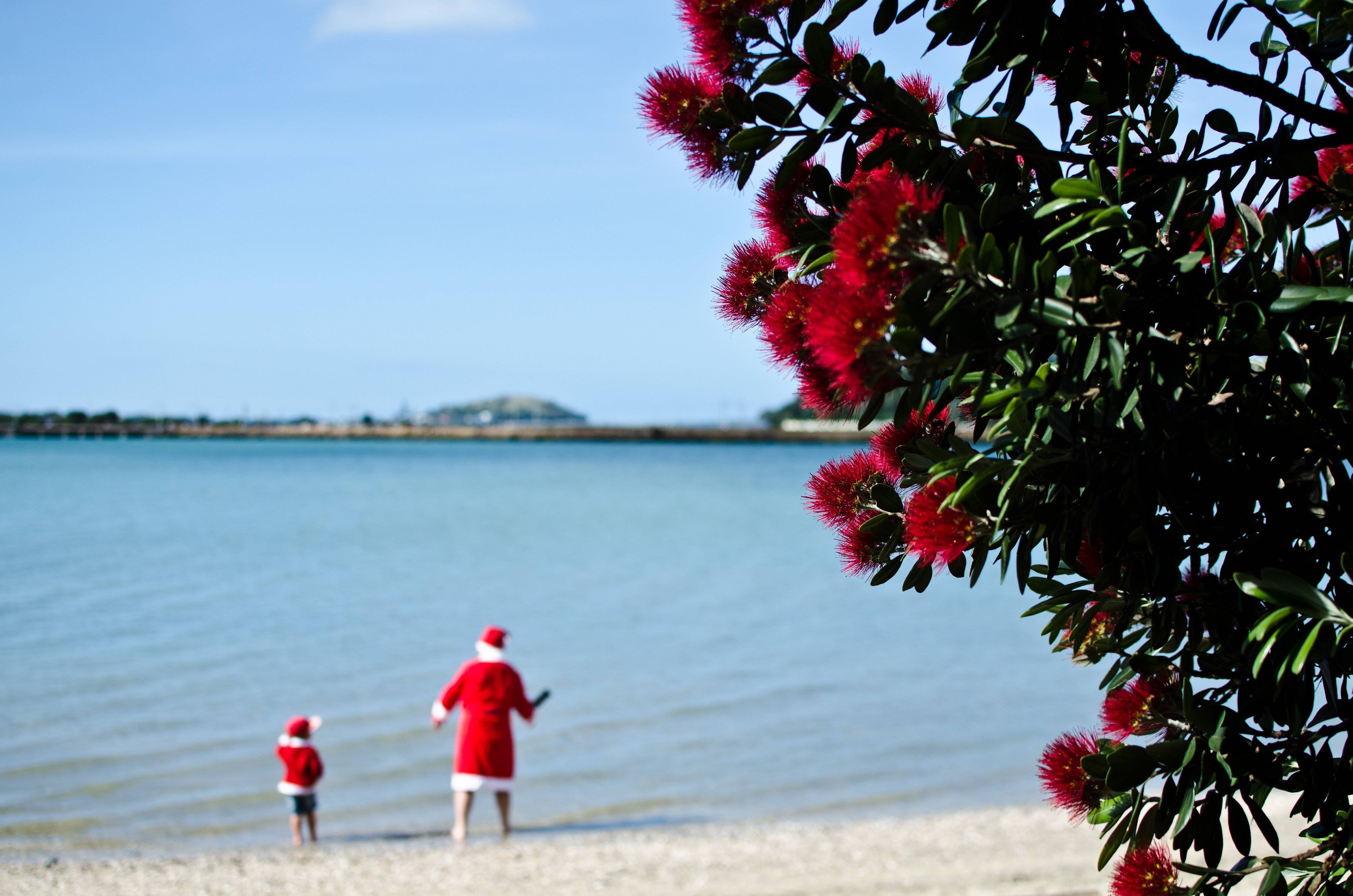 Sending Warm Christmas Wishes from New Zealand!