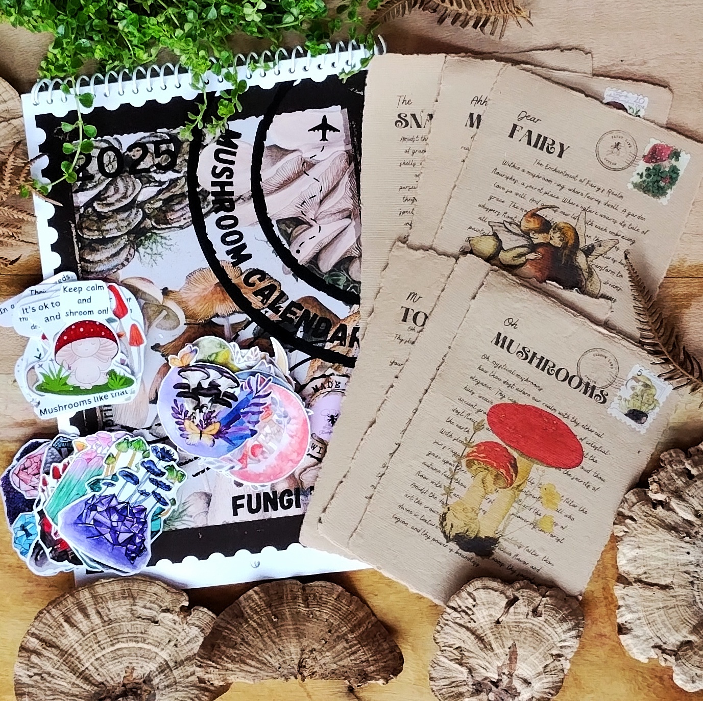 A Delightful Mushroom-Themed Gift Bundle