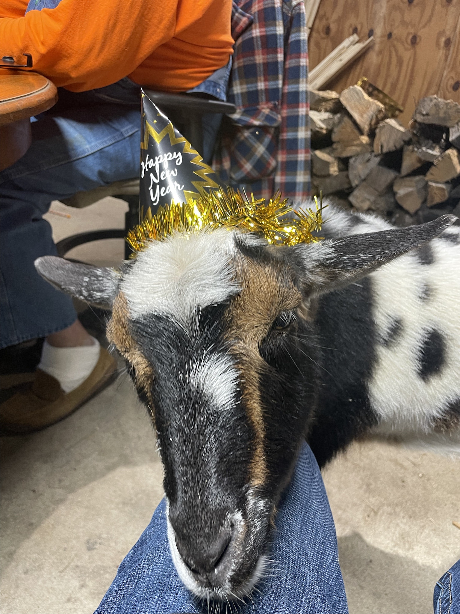 Ring in the New Year with Joy!