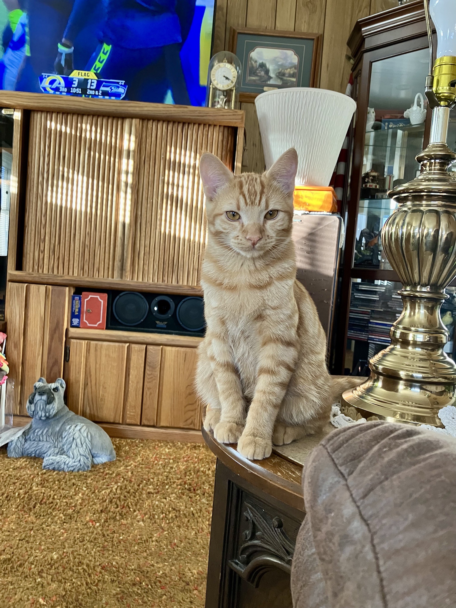 Stop Judging Me, Aubrey! Seriously!