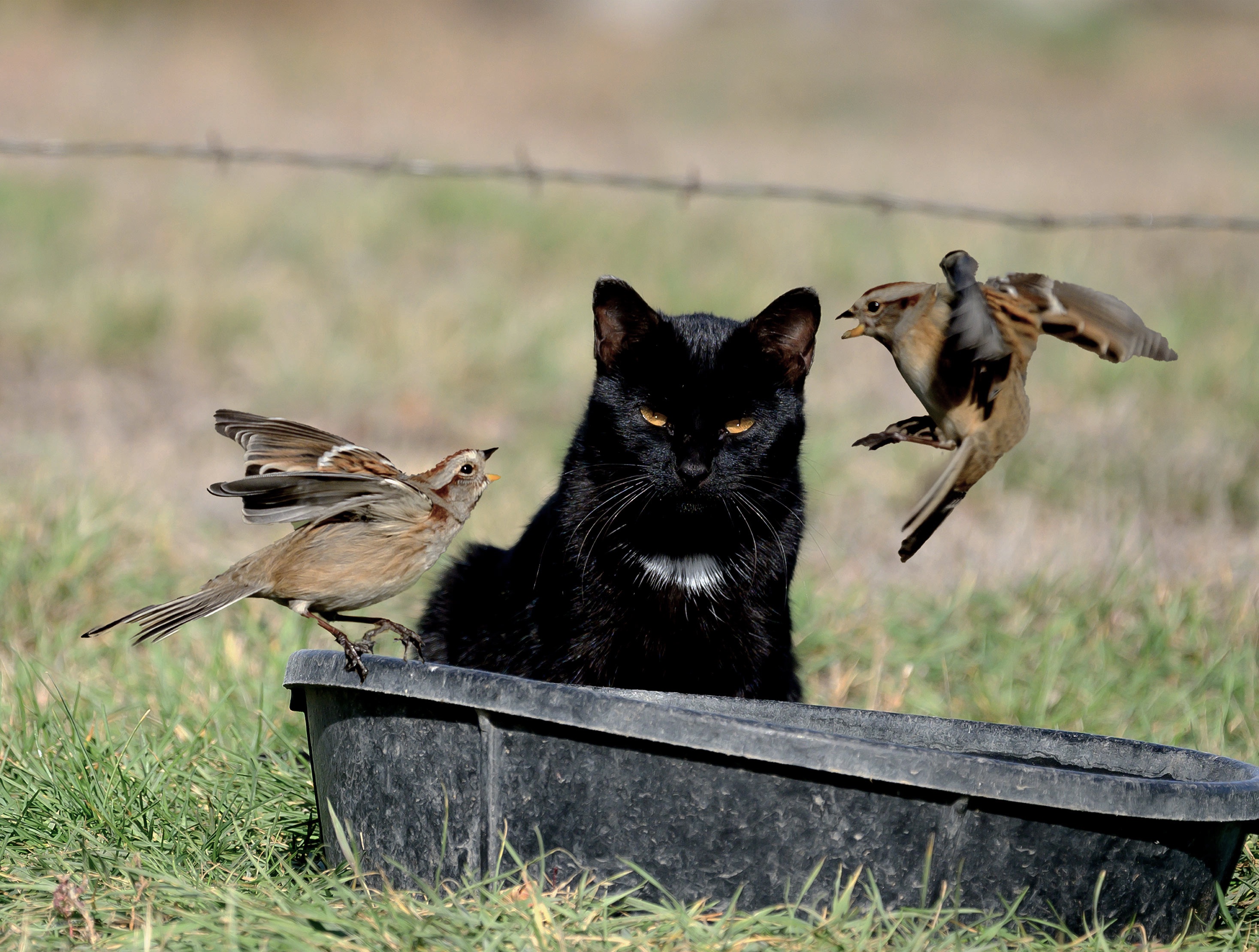 Beware of the Hidden Threat!