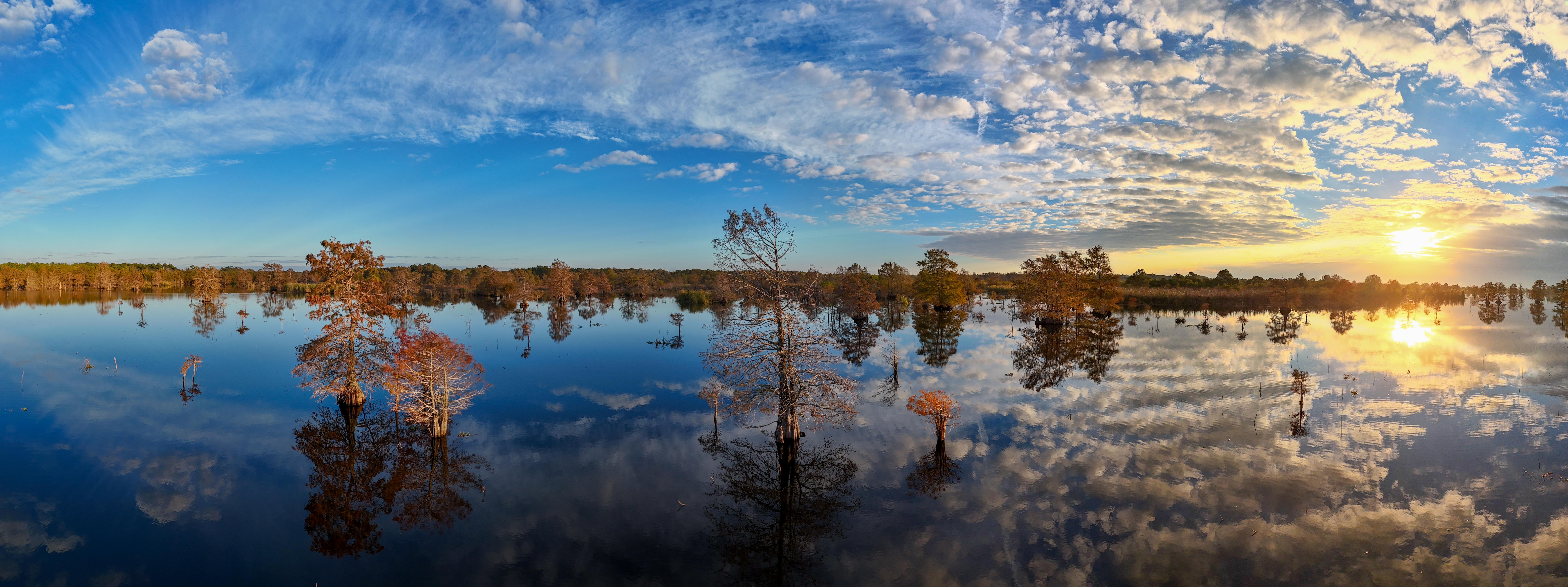 Breathtaking reflections of a Texas winter swamp with a stunning cloud path.