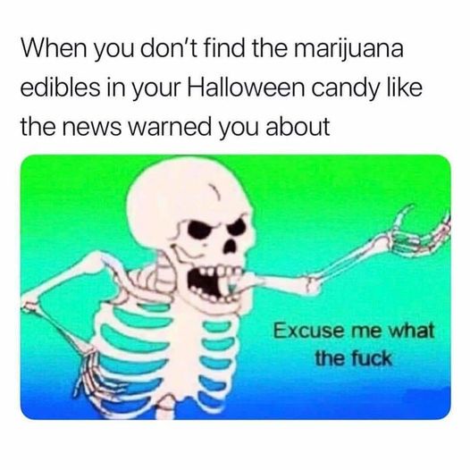 Not a single one in sight!