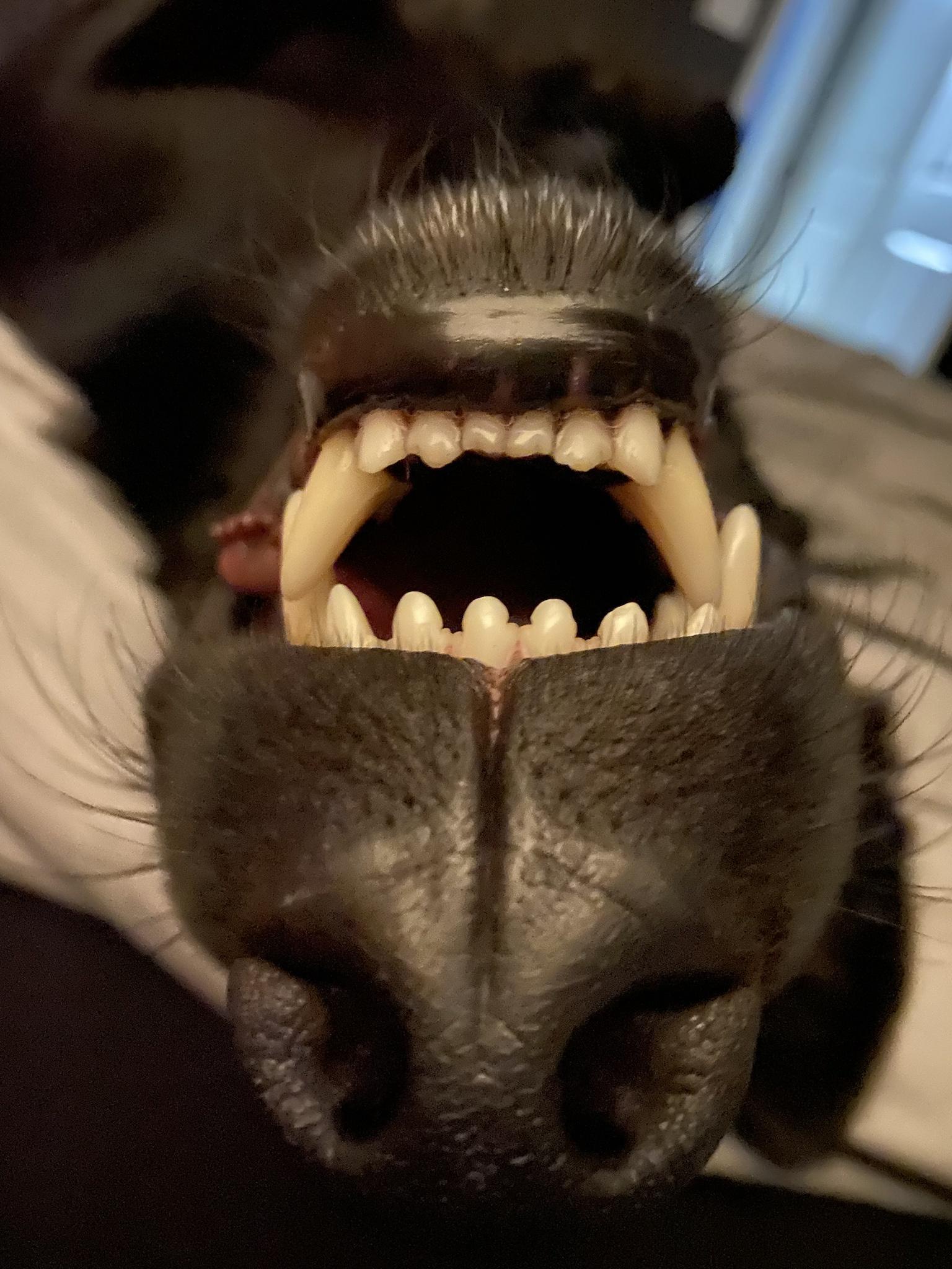 Well, Hello There! What's Going On?