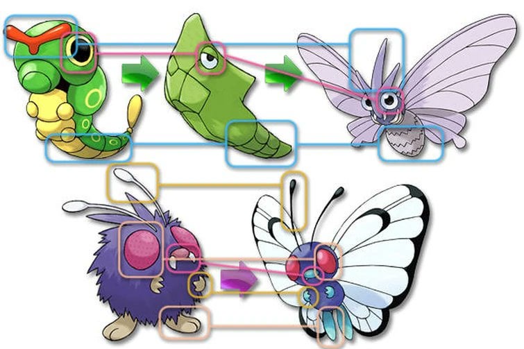 Did Caterpie and Venonat Swap Places? A Pokémon Mystery